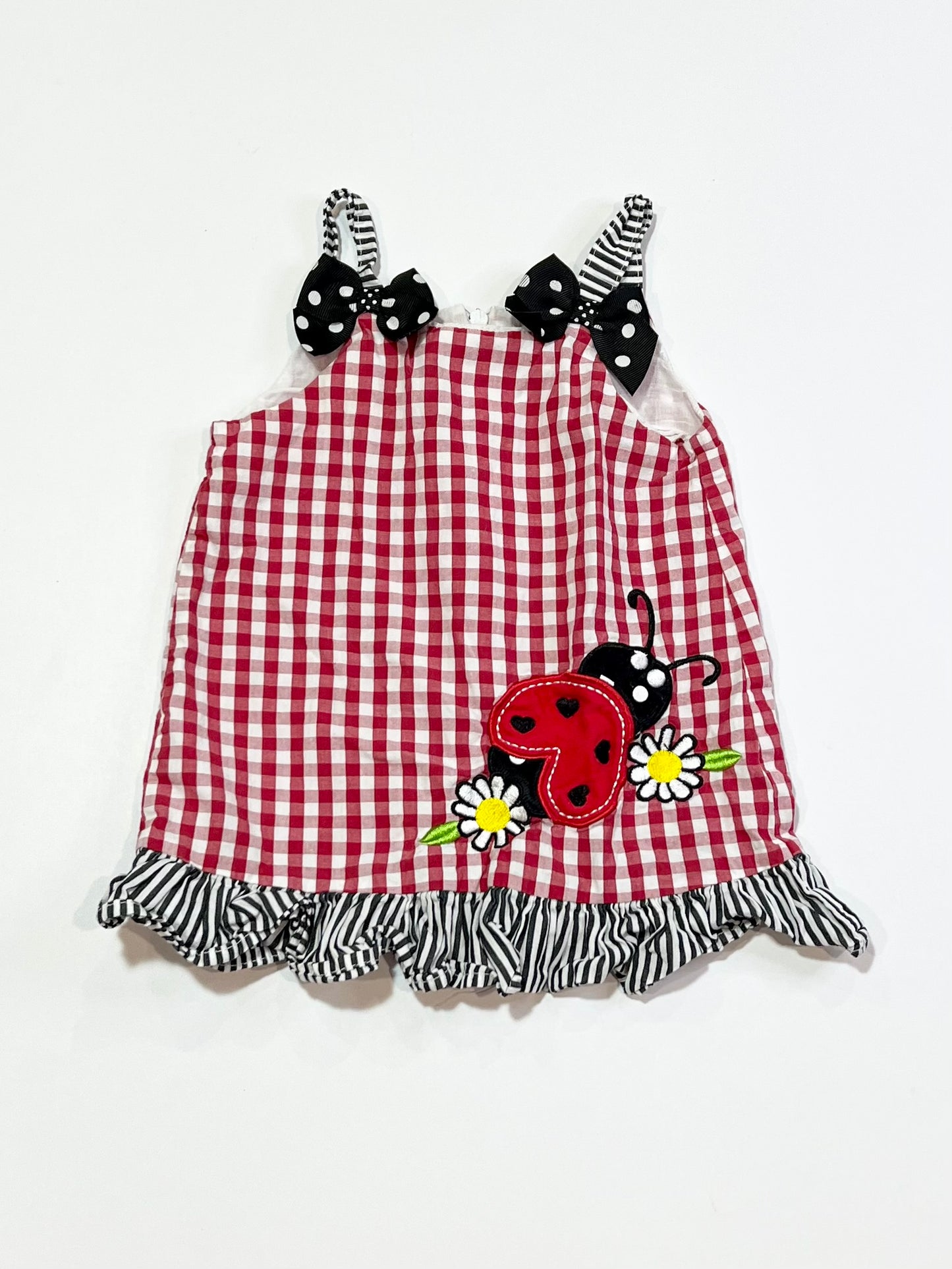 Gingham ladybug dress - Size 000