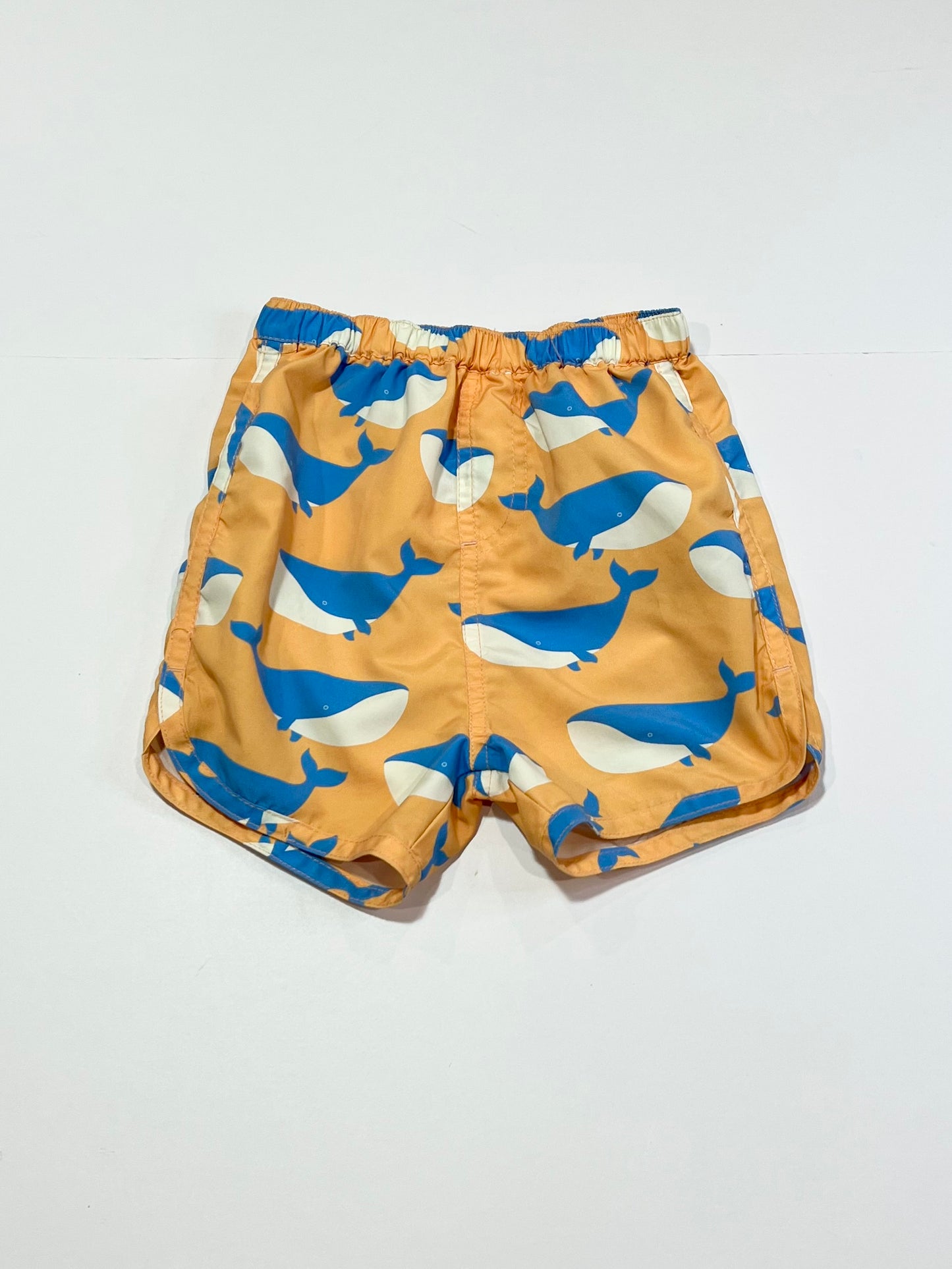 Whales boardies - Size 2