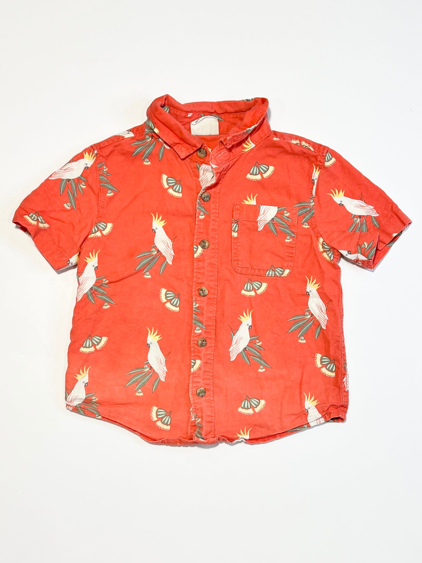Cockatoos shirt - Size 4