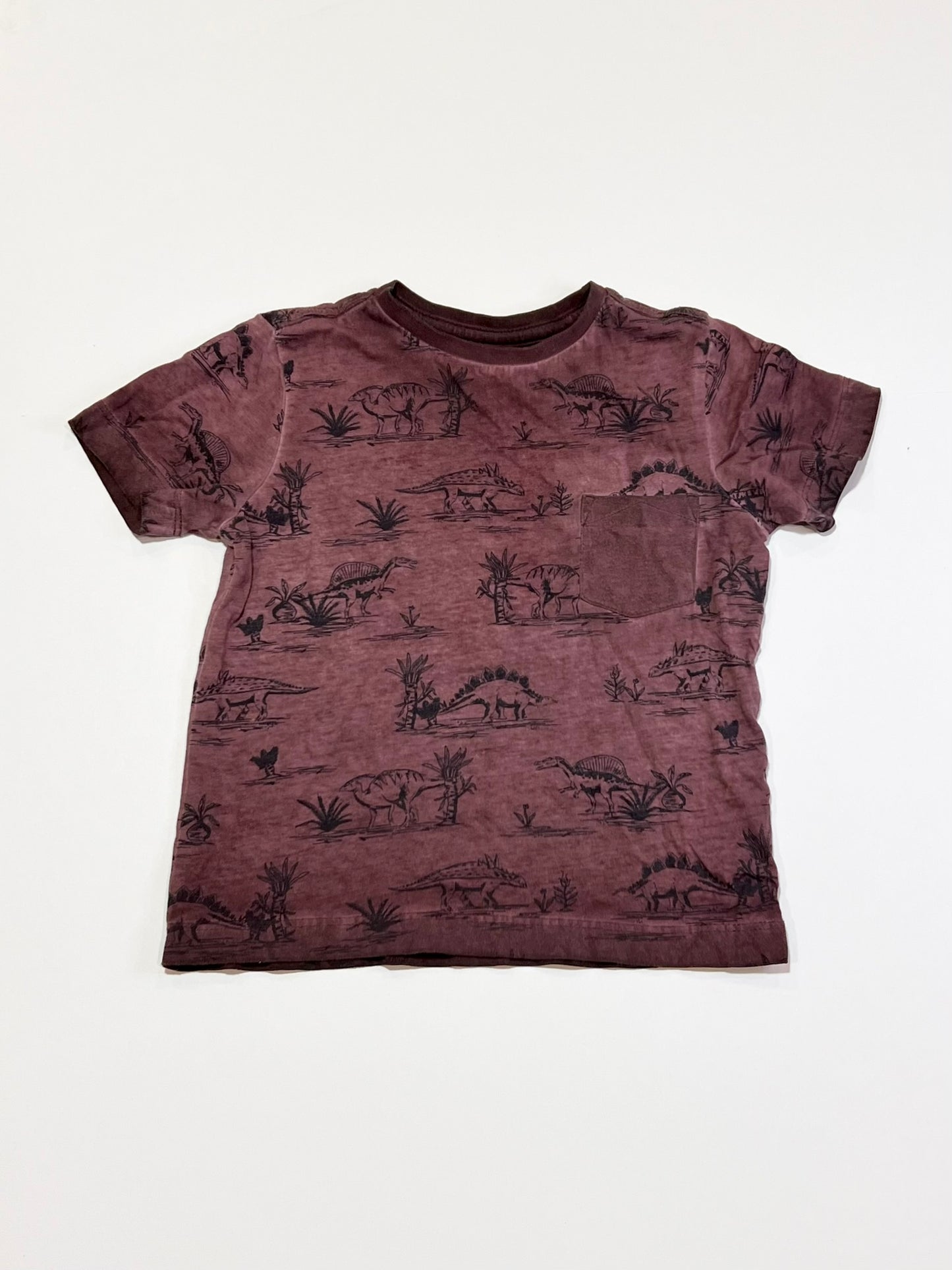 Plum dinosaurs tee - Size 1