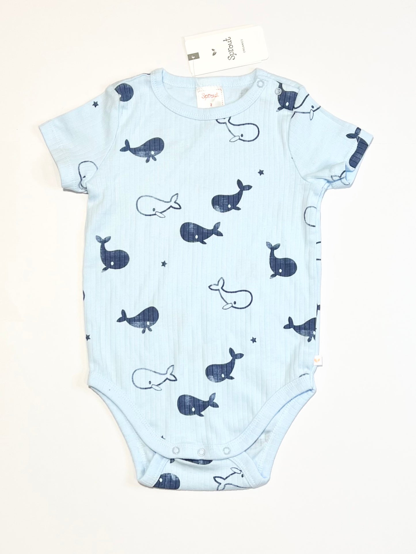 Ribbed whale bodysuit brand new - Size 2