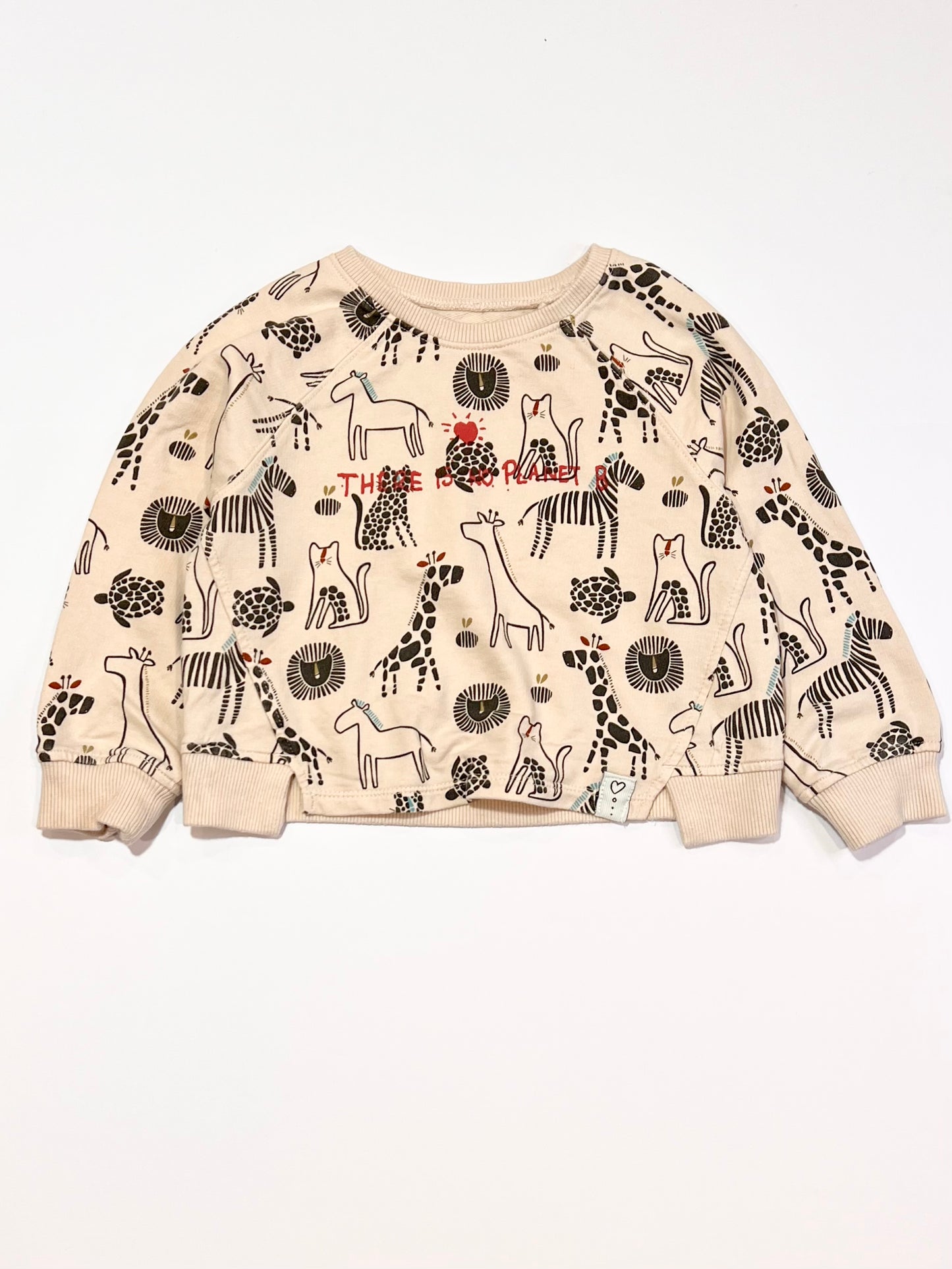 No planet B sweater - Size 2-3