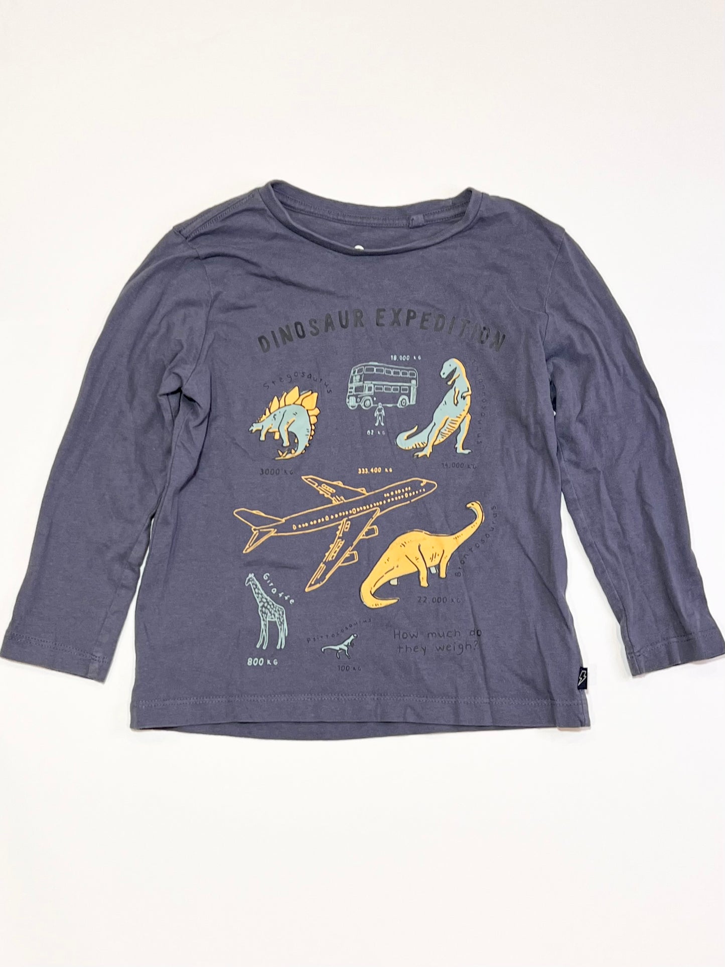 Dinosaur expedition top - Size 4