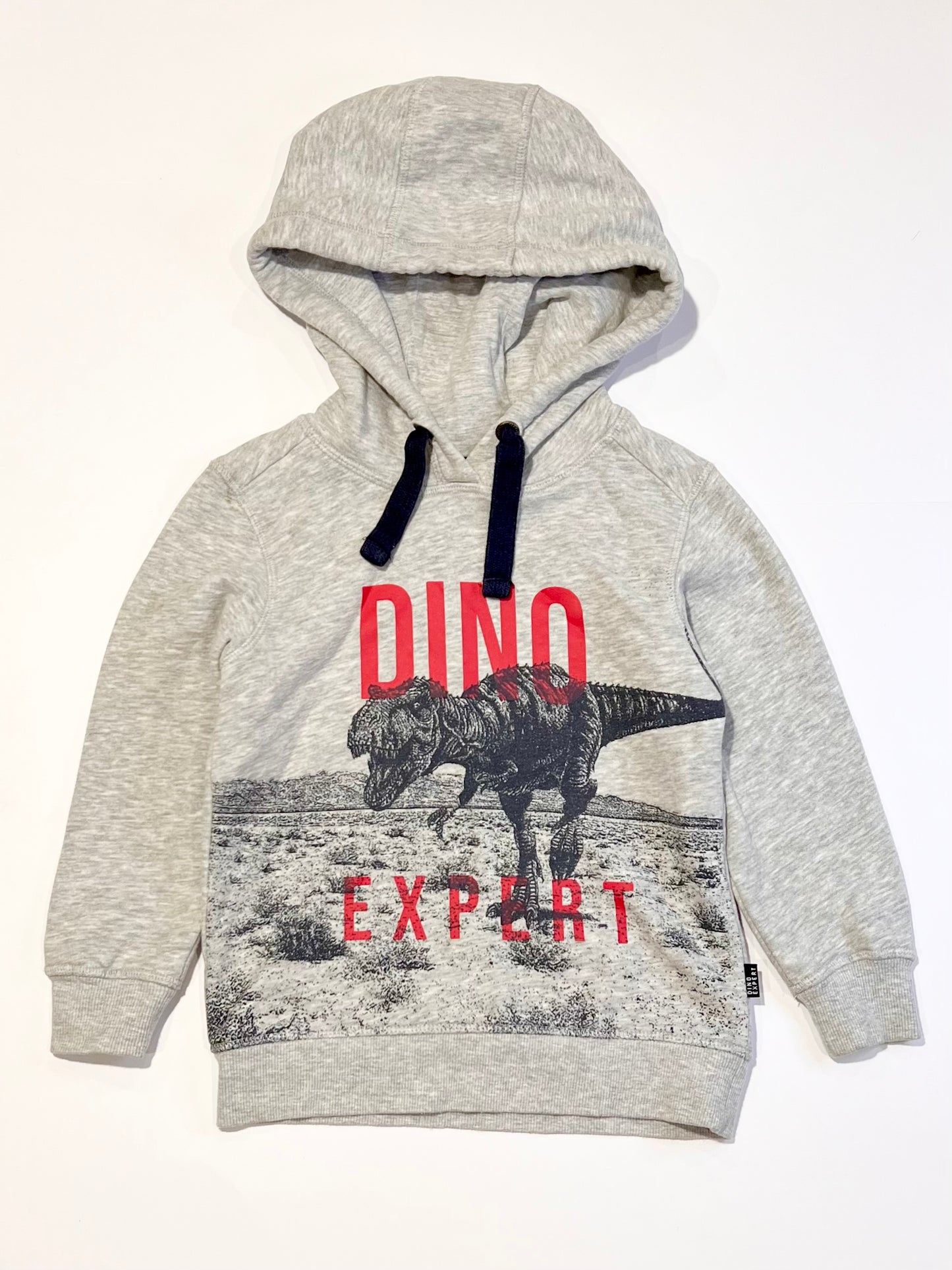 Dino expert hoodie - Size 4