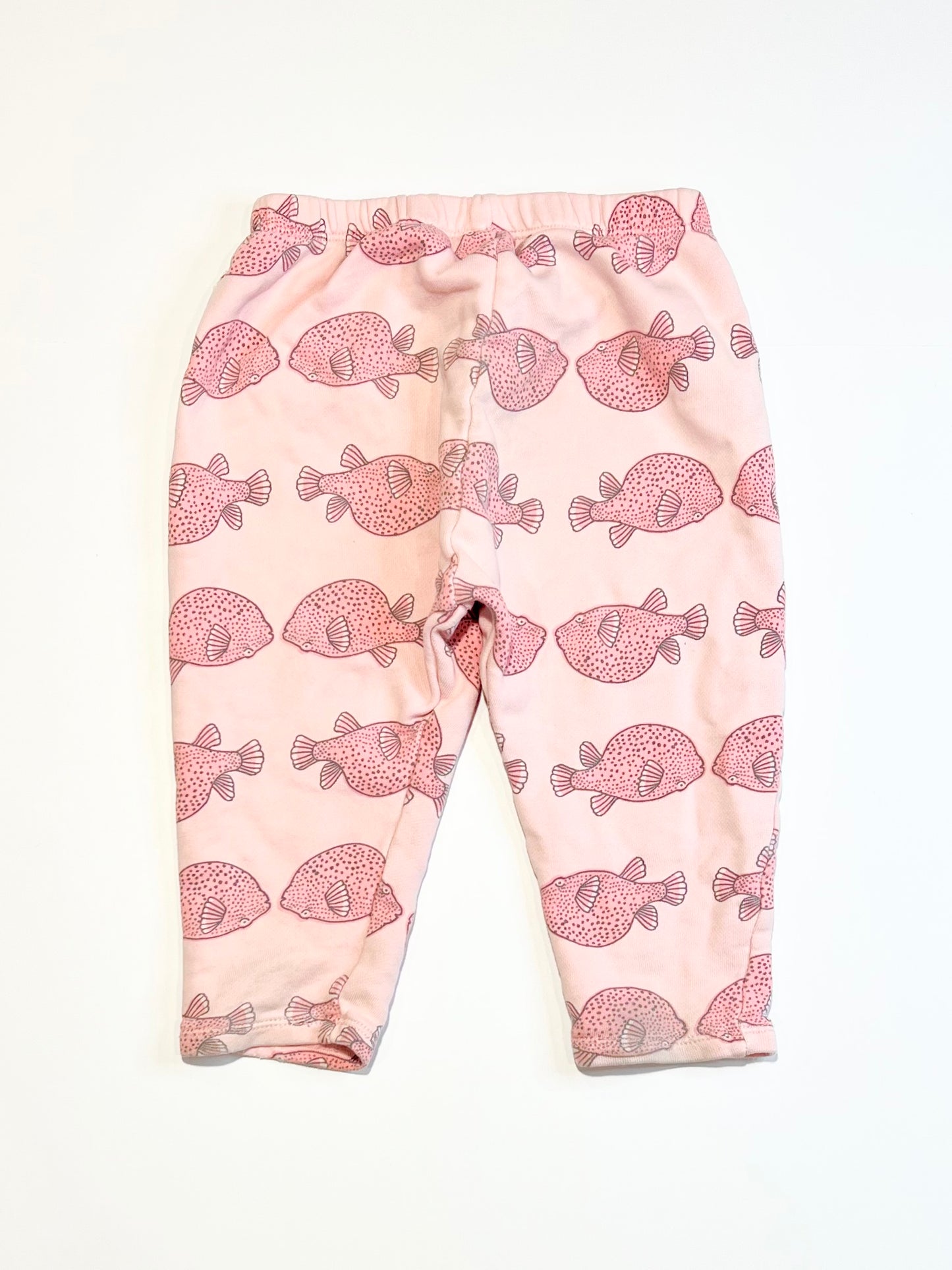 Pufferfish trackies - SIze 1