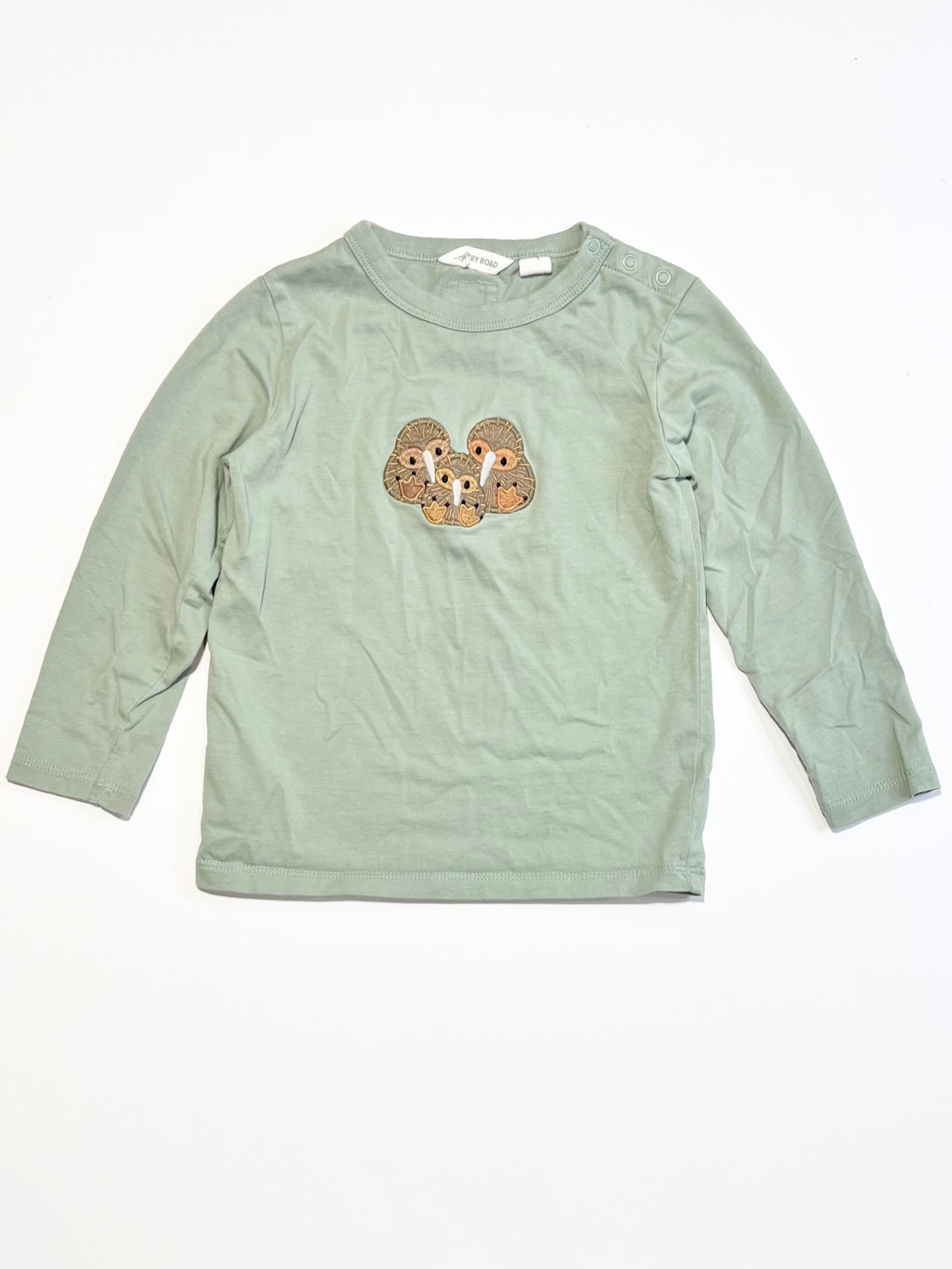 Green kiwi top - Size 2