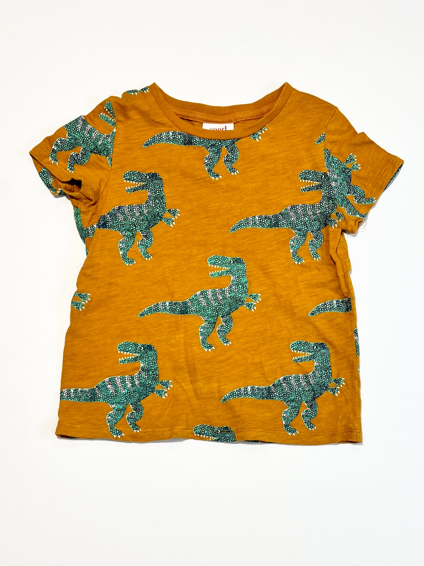 Brown dino tee - Size 4