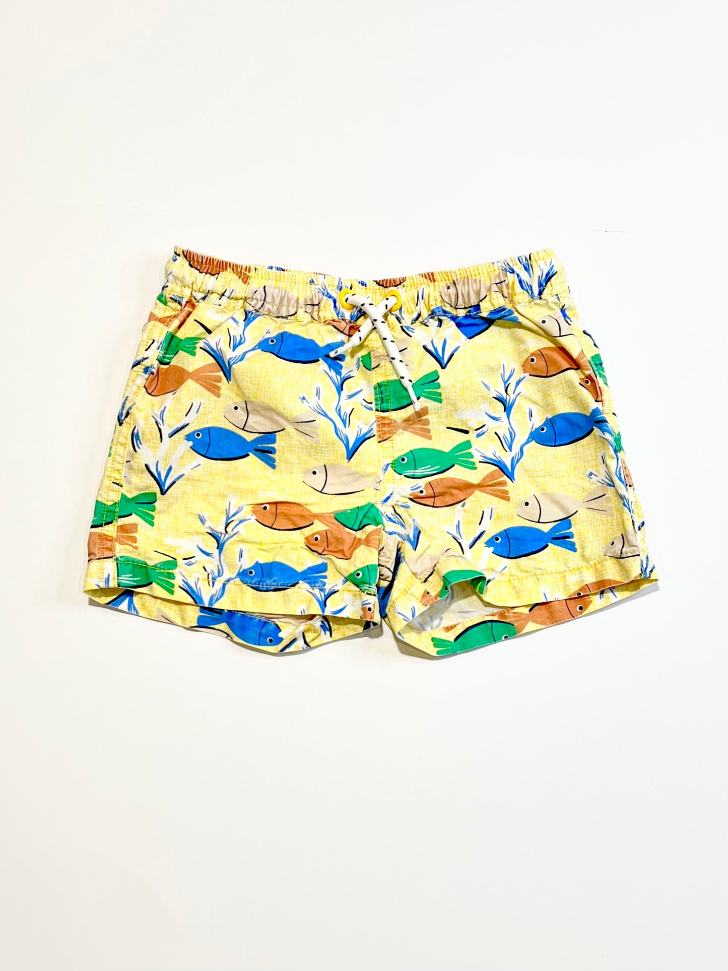 Fishy boardies - Size 2