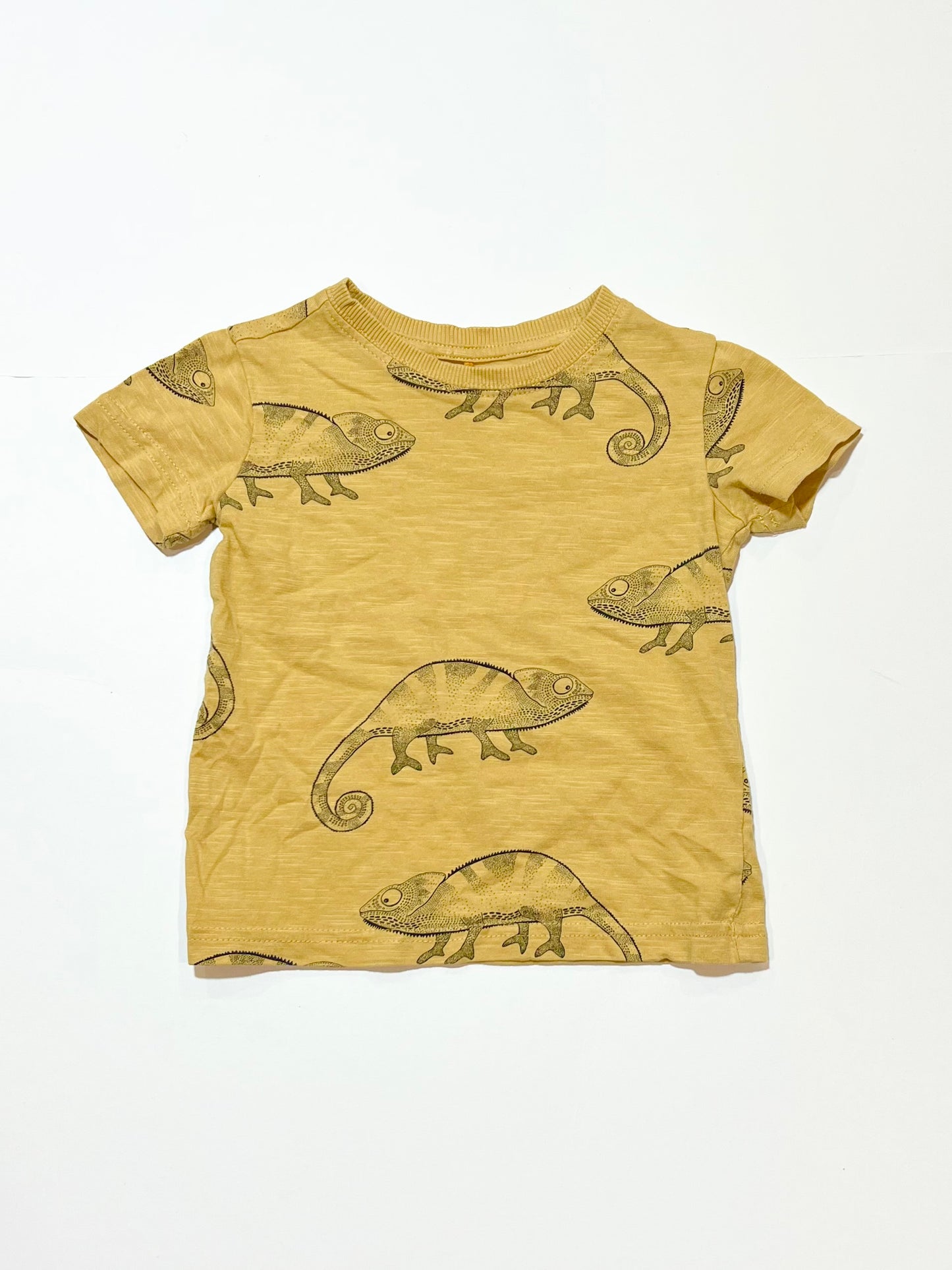 Chameleon tee - Size 1