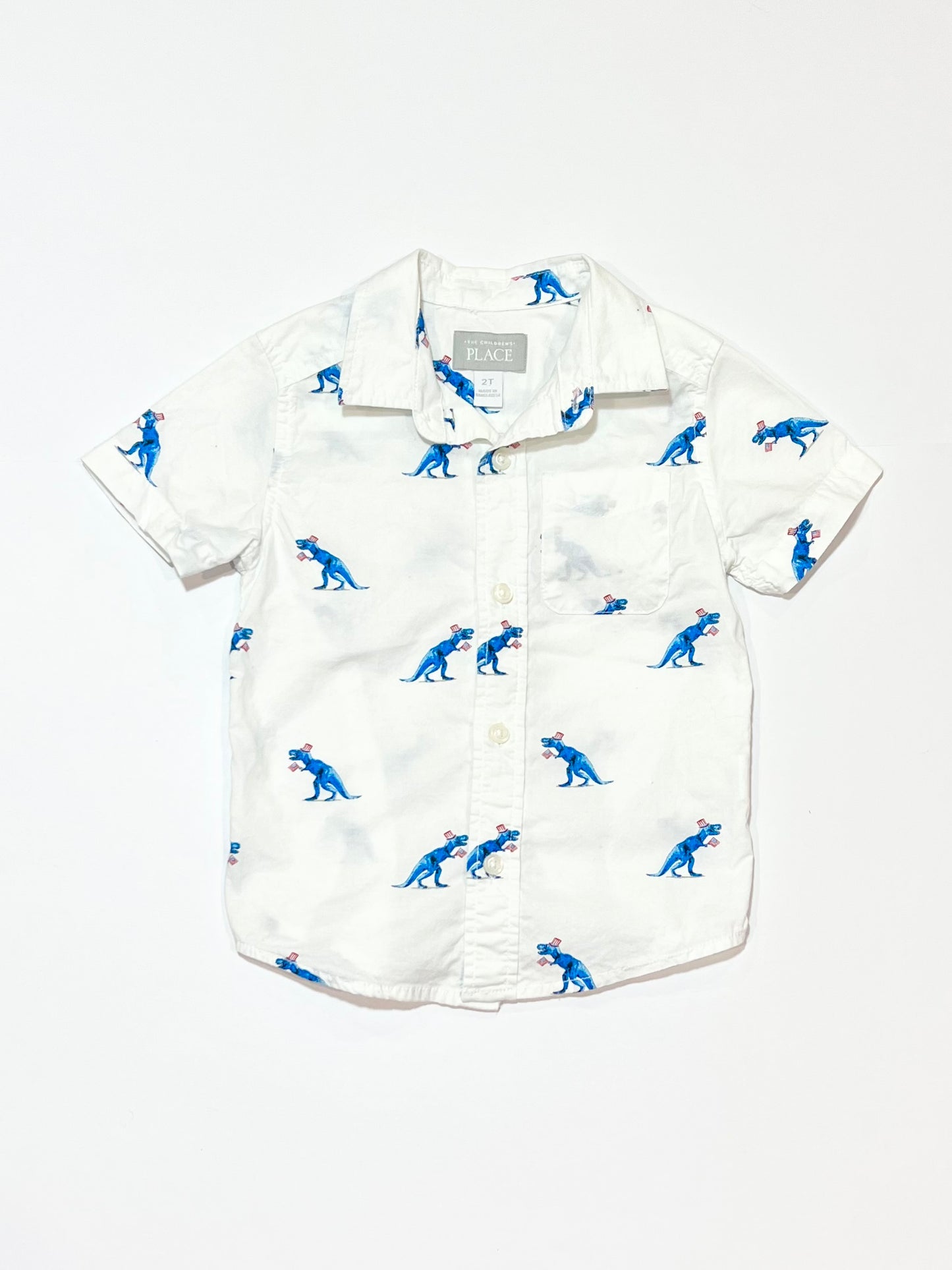 Dinosaur shirt - Size 2