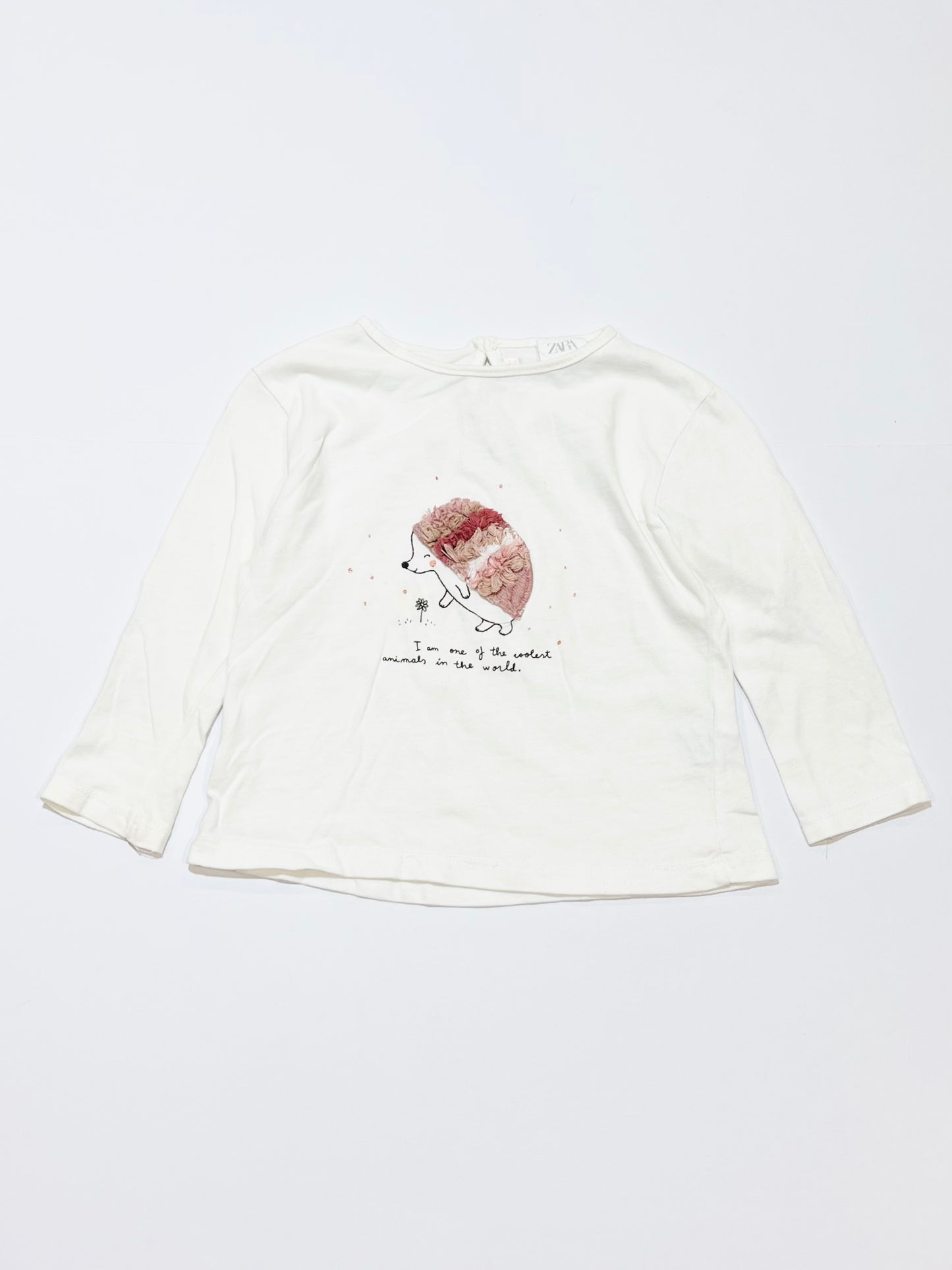 Hedgehog top - Size 6-9 months