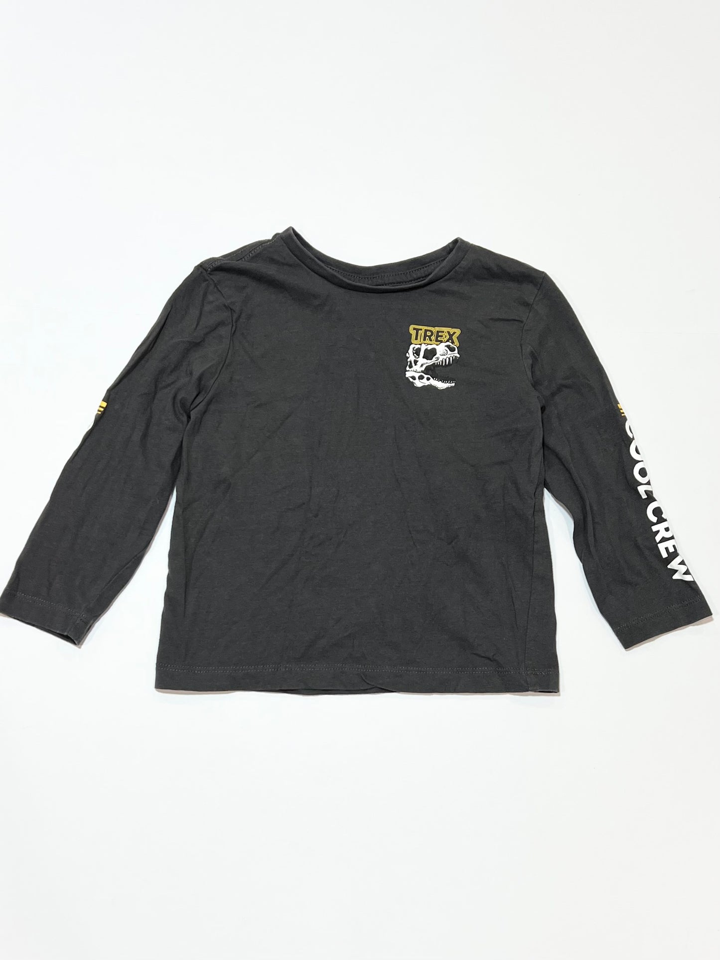 Grey t-rex top - Size 3