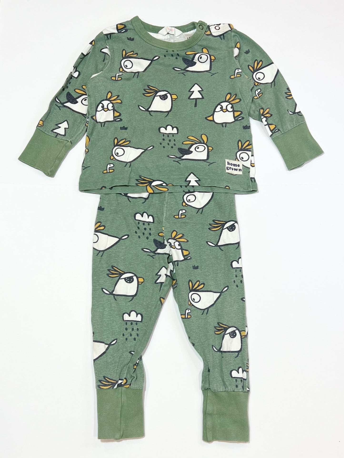 Green cockatoo pyjamas - Size 1