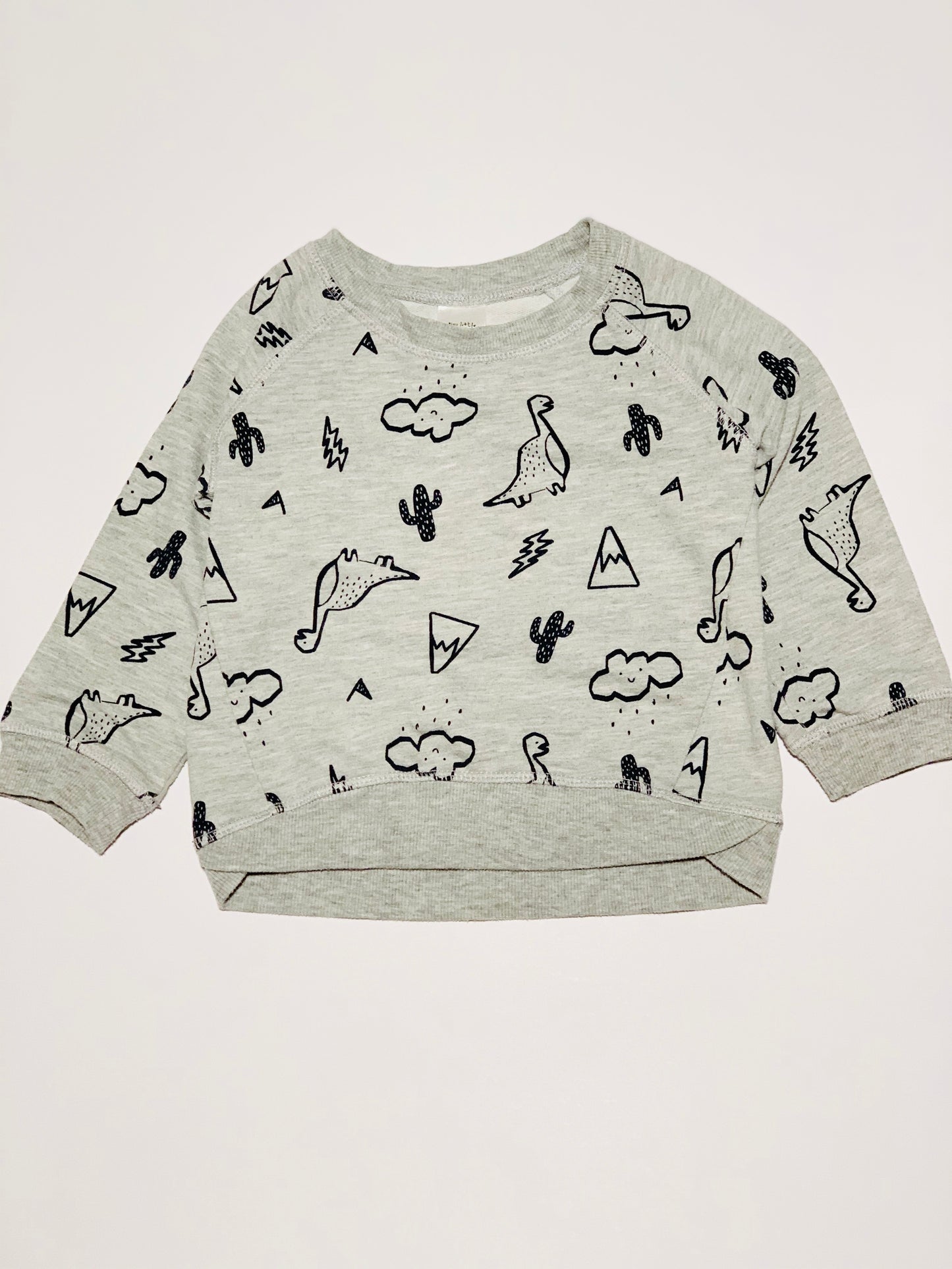 Grey dinosaur sweater - Size 2