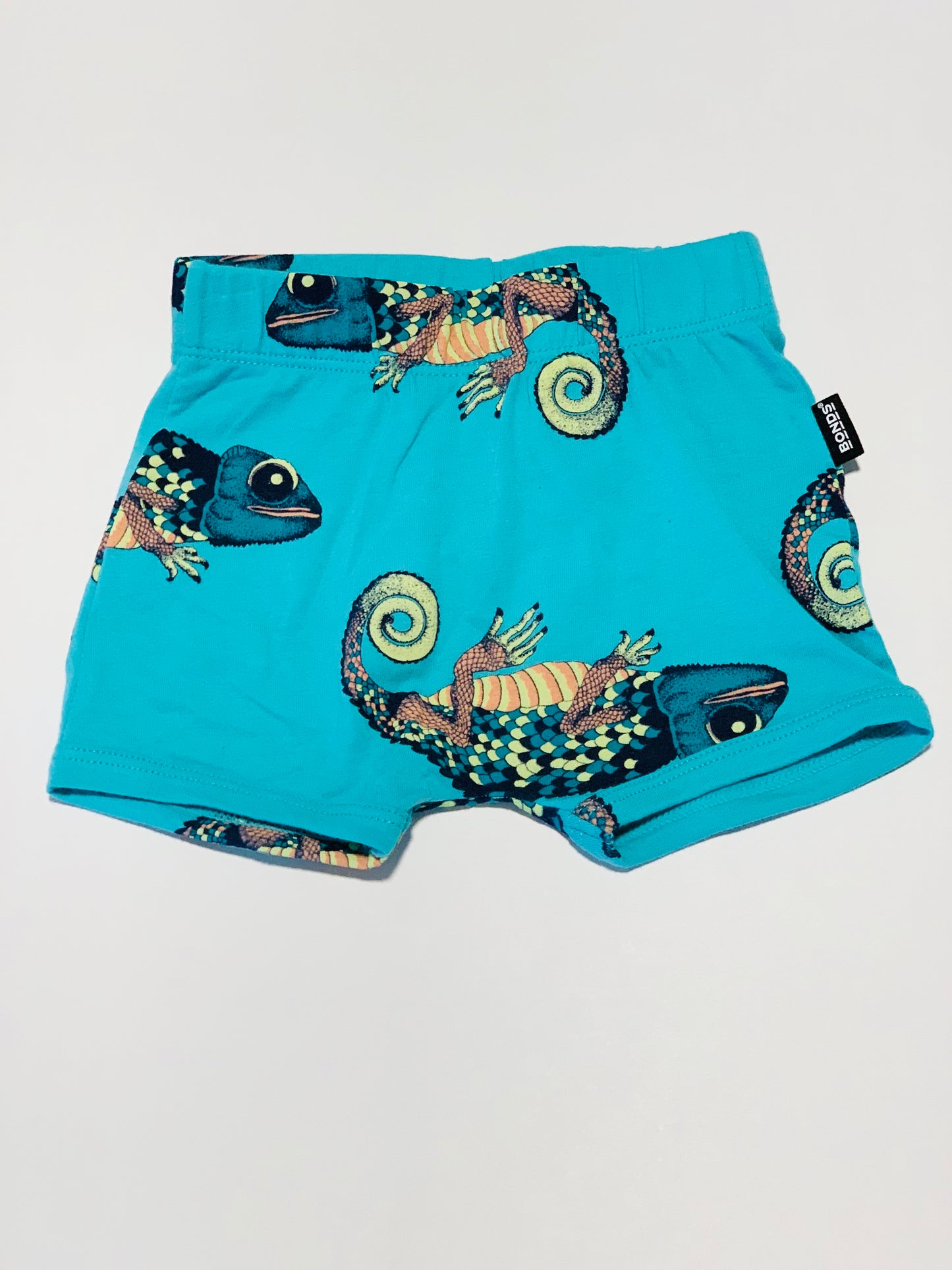 Chameleon shorts - Size 00