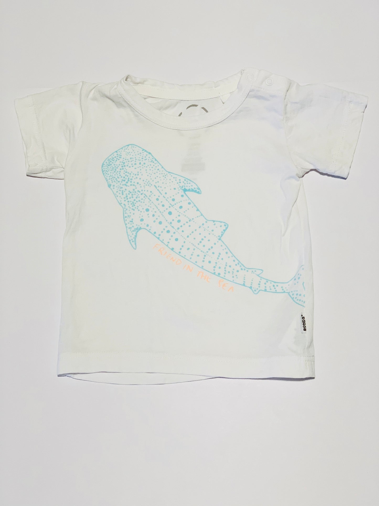 Shark tee - Size 00