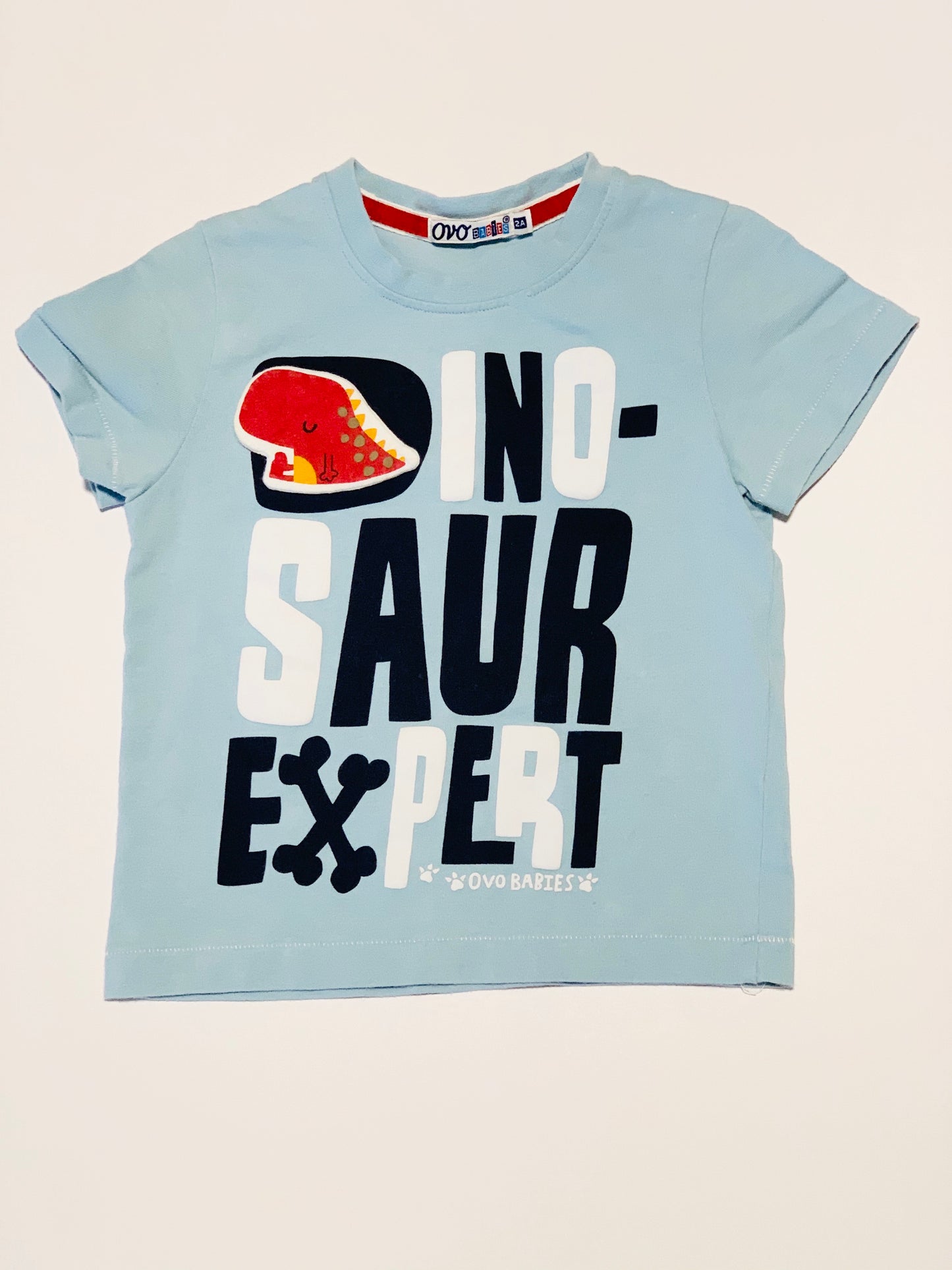 Dinosaur expert tee - Size 2