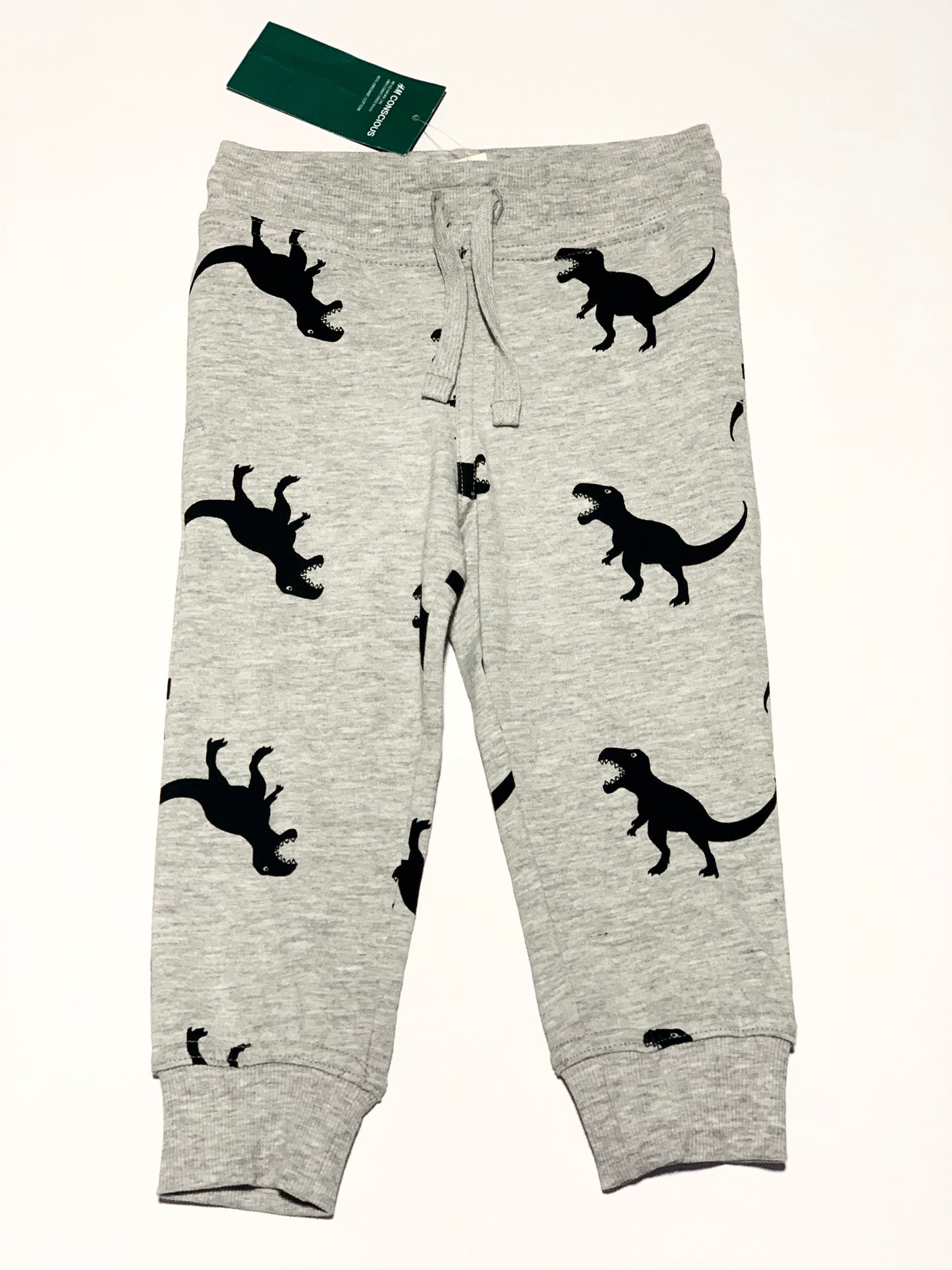 Dinosaur trackies - Size 2