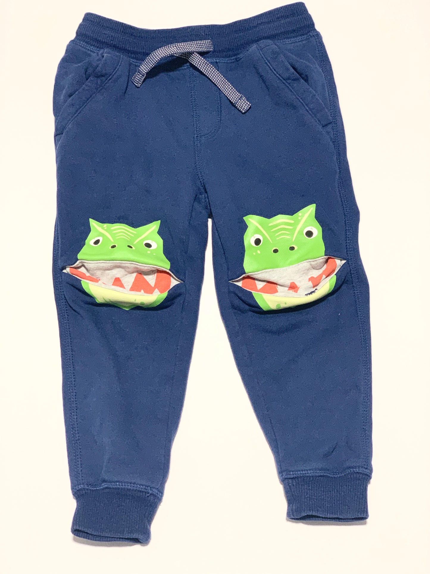 Dinosaur trackies - Size 2