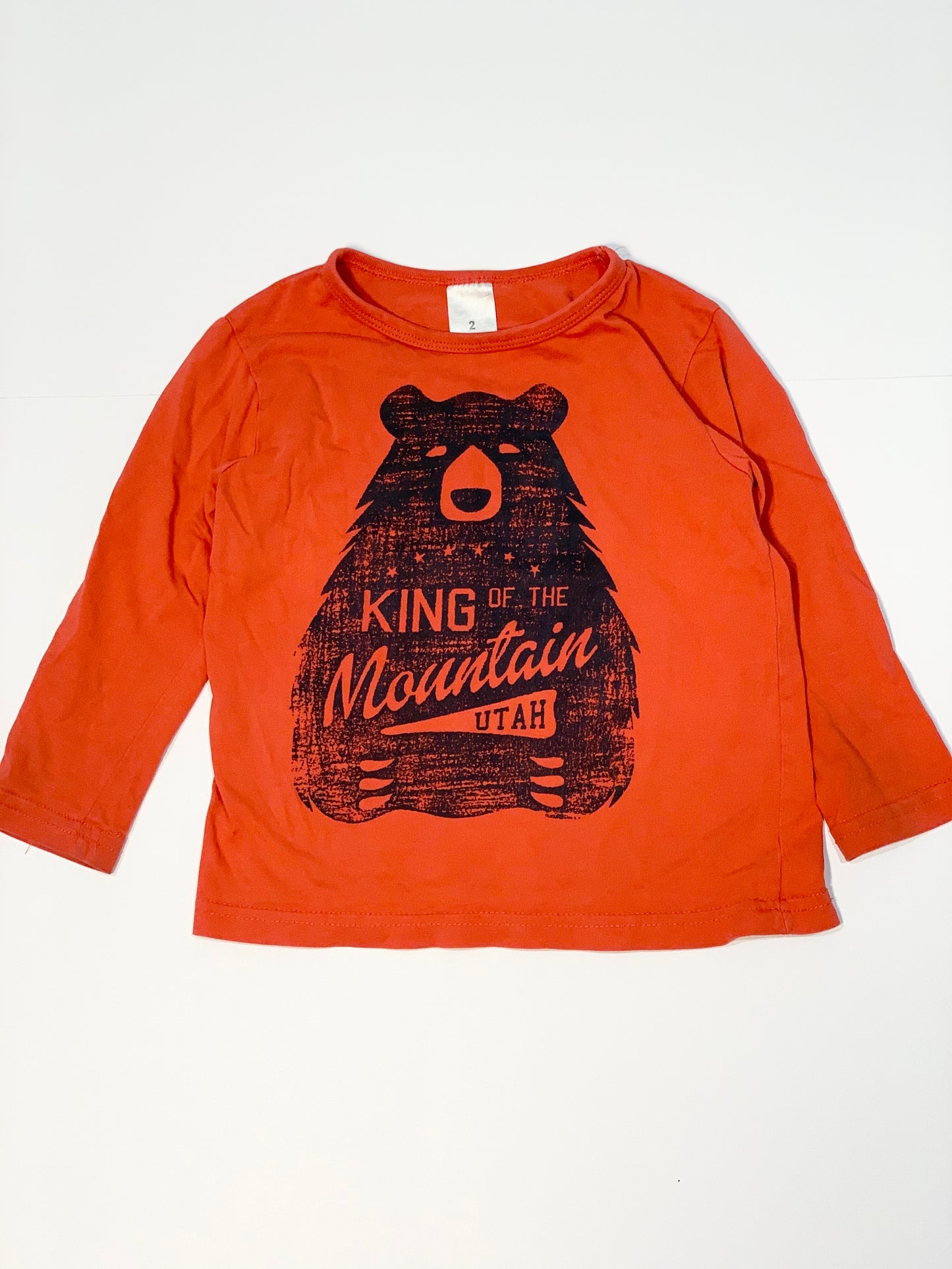 Bear top - Size 2
