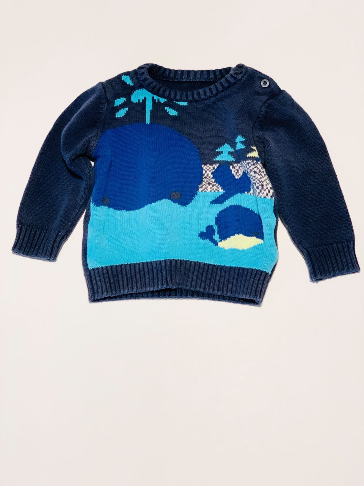 Blue whale jumper - Size 6-9 months