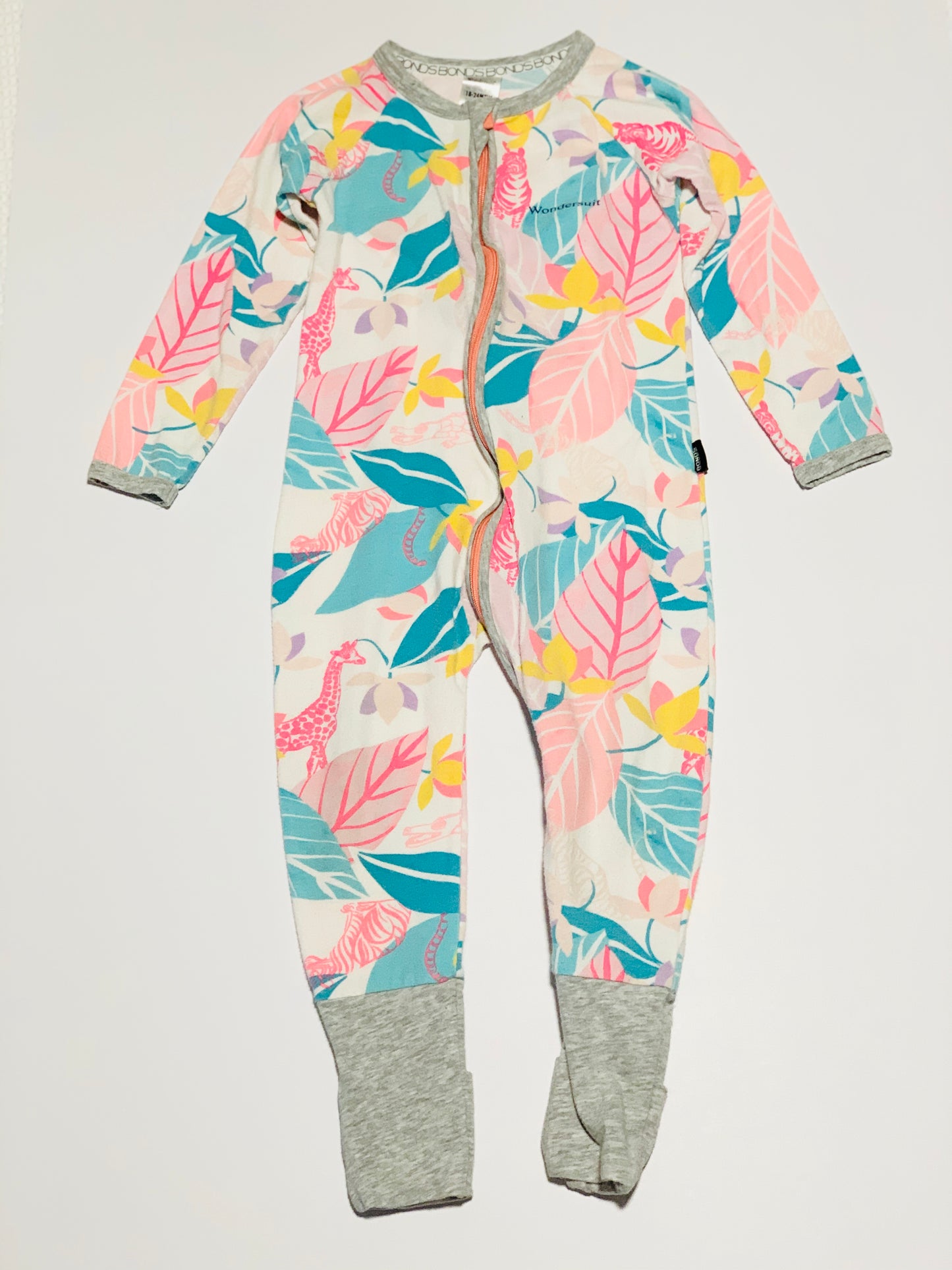 Zippy Wondersuit - Size 2