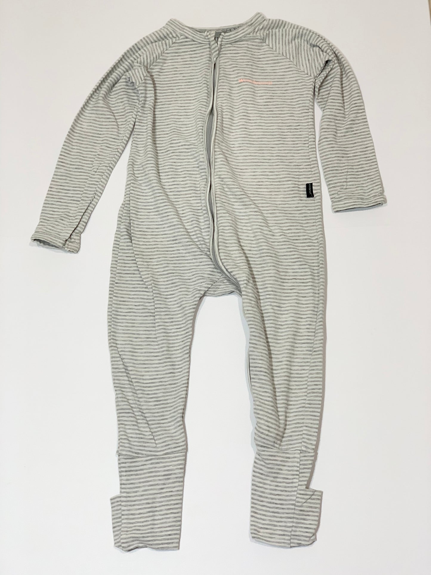 Zippy Wondersuit - Size 2