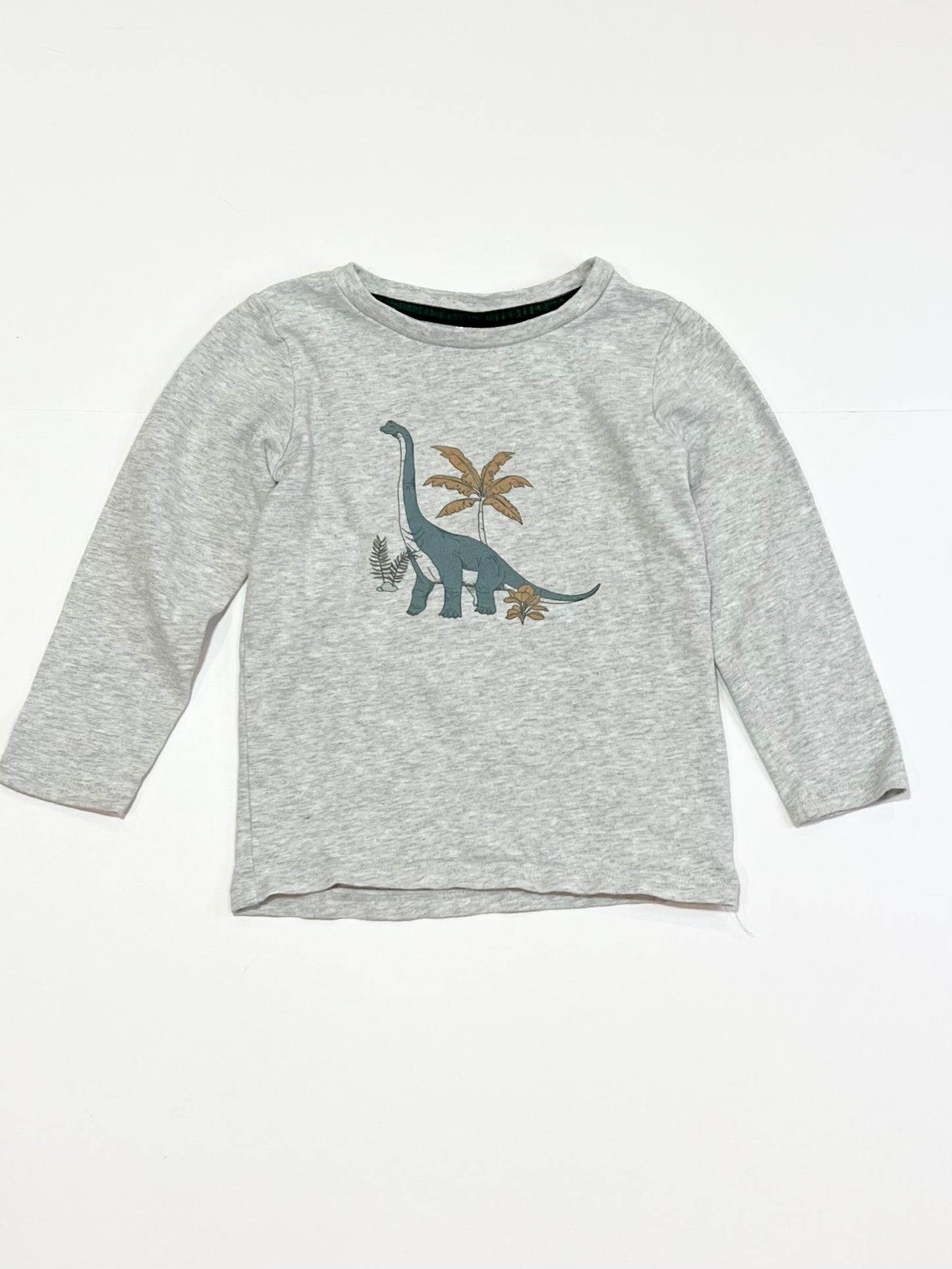 Grey dinosaur top - Size 2