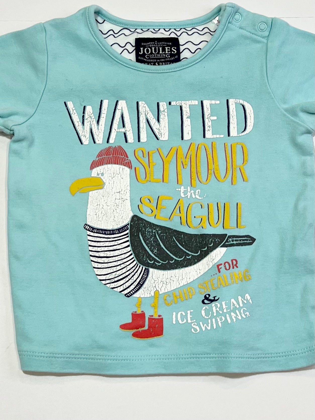 Seymour the Seagull tee - Size 1