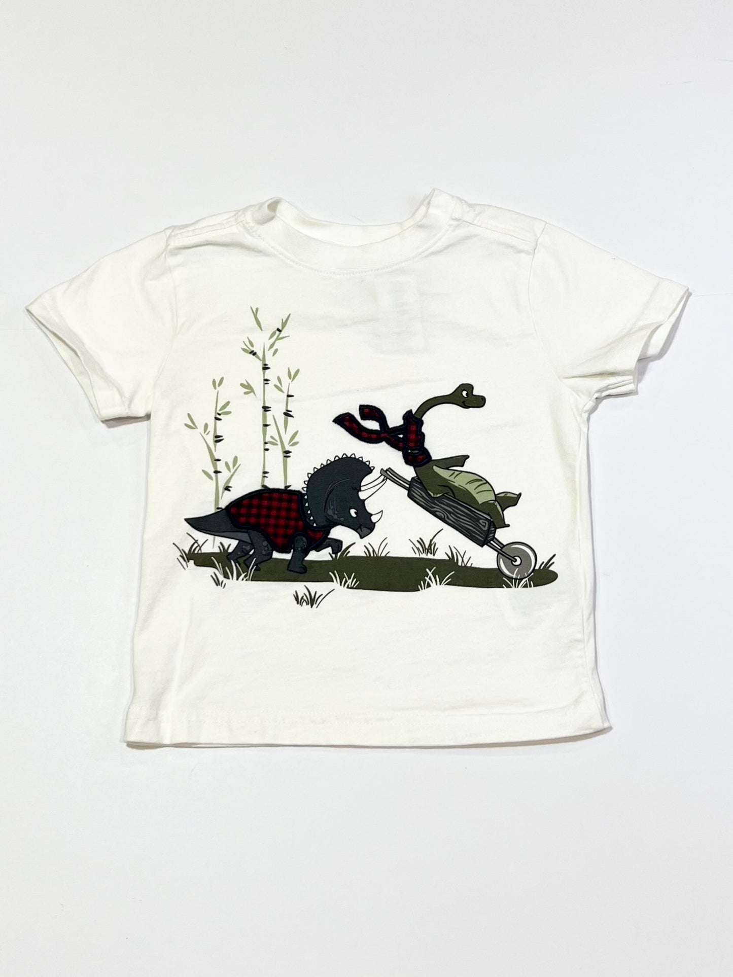 Wheelbarrow dinosaurs tee - Size 2