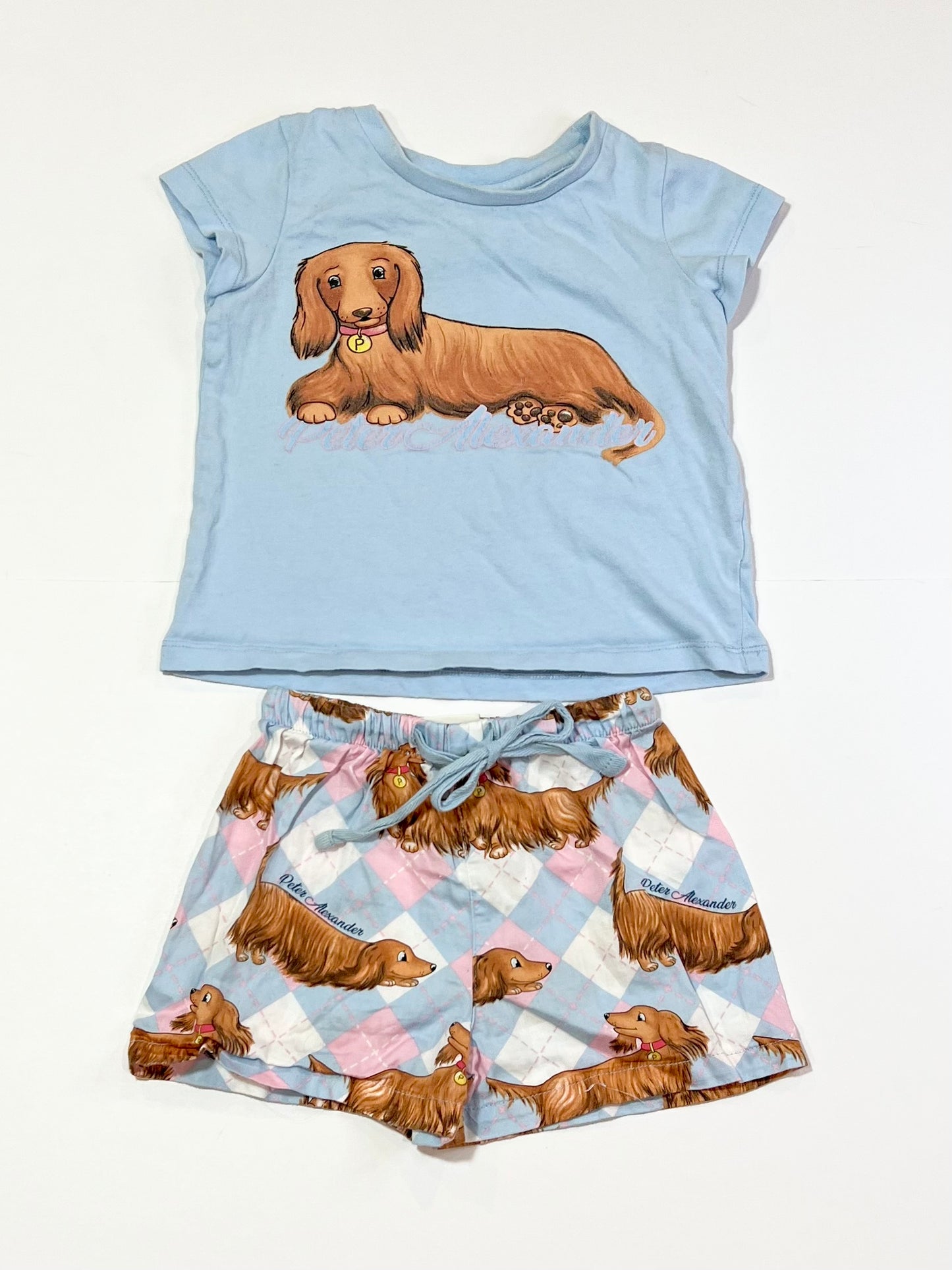 Blue puppy pyjamas - Size 2