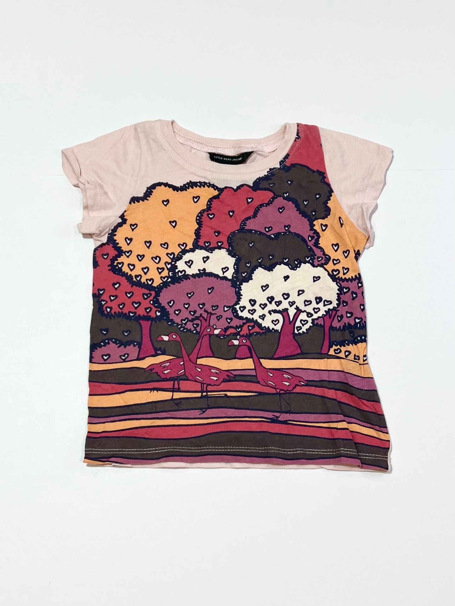 Tree and flaminoges tee - Size 2