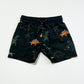 Dinosaur boardies - Size 2