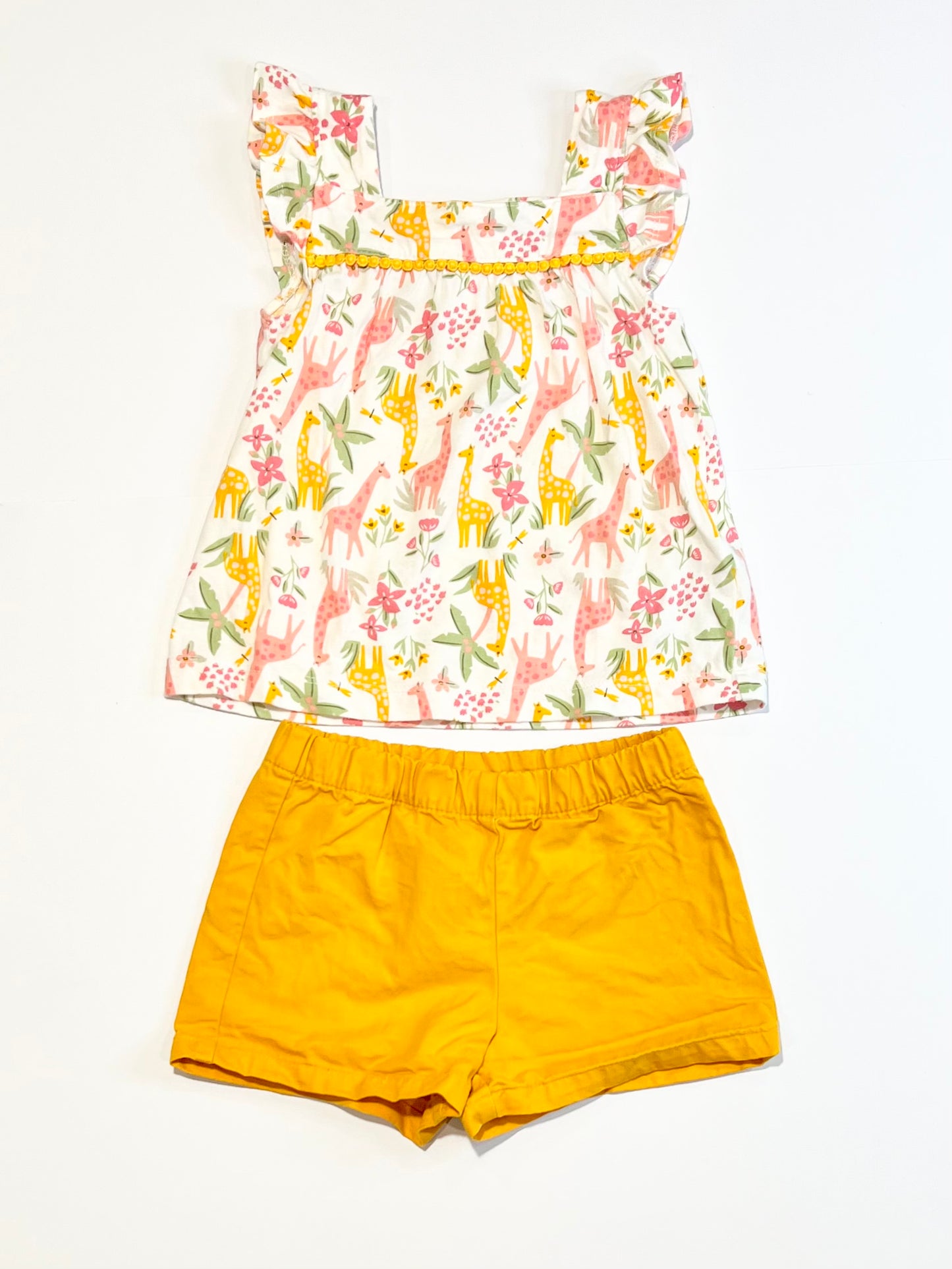 Giraffes set - Size 1