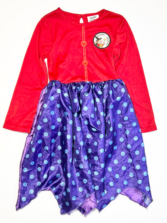Room on the Broom costume - Size 4-6