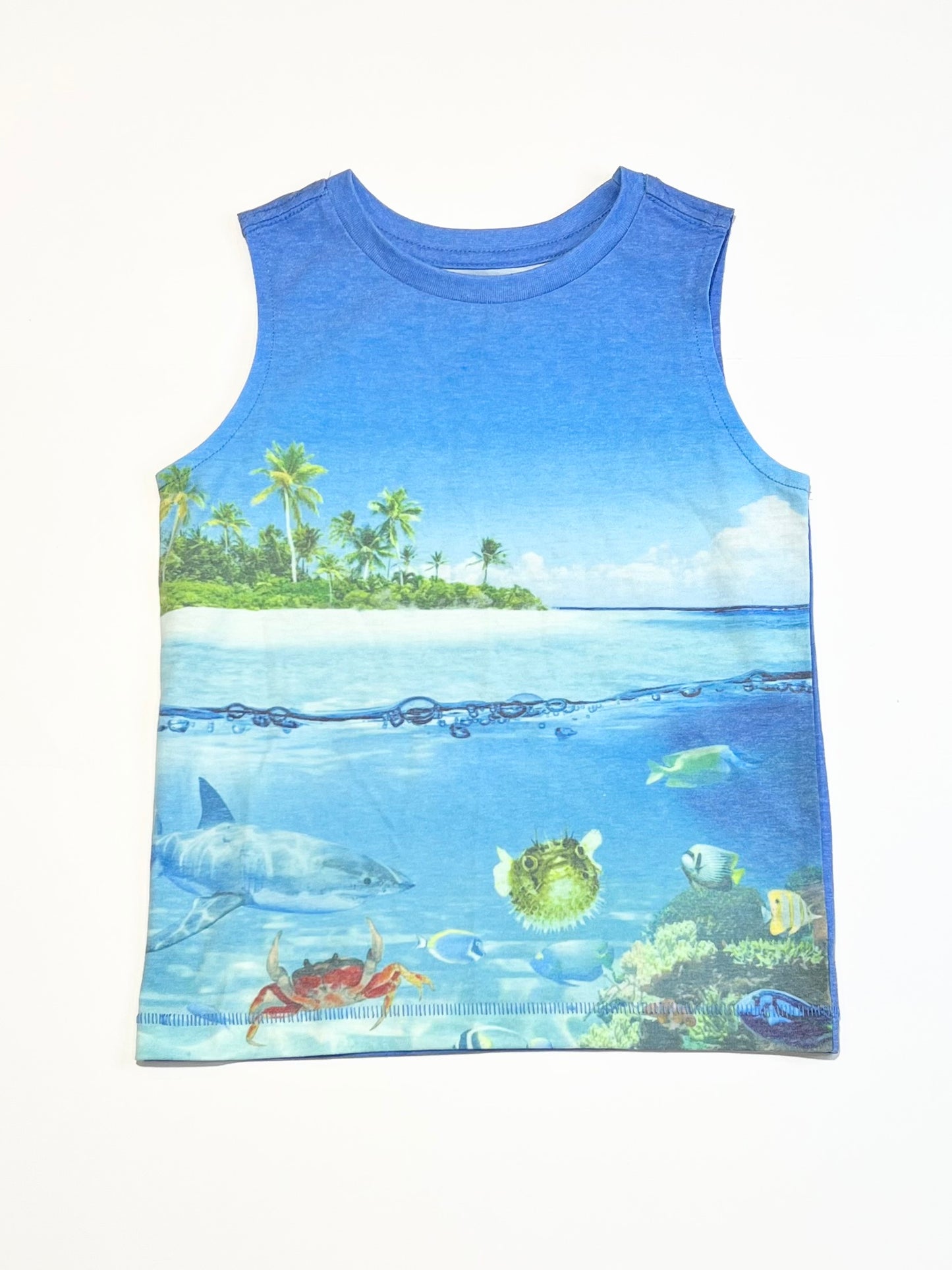 Blue ocean tank - Size 3