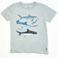 Grey sharks tee - Size 5