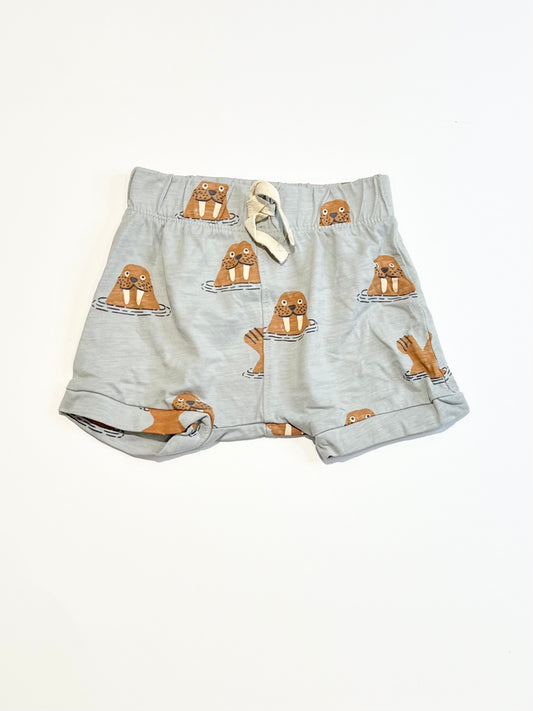 Jersey walrus shorts - Size 00