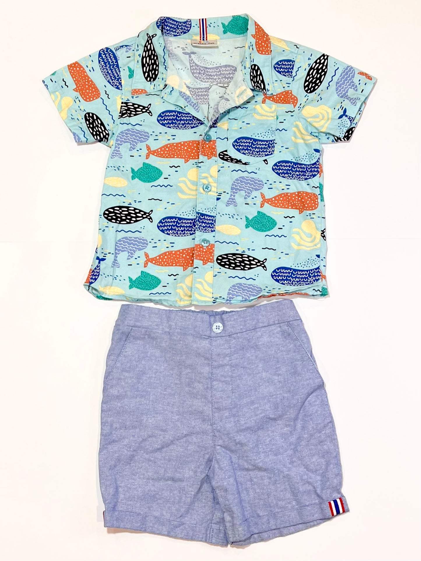 Blue sea creatures set - Size 3