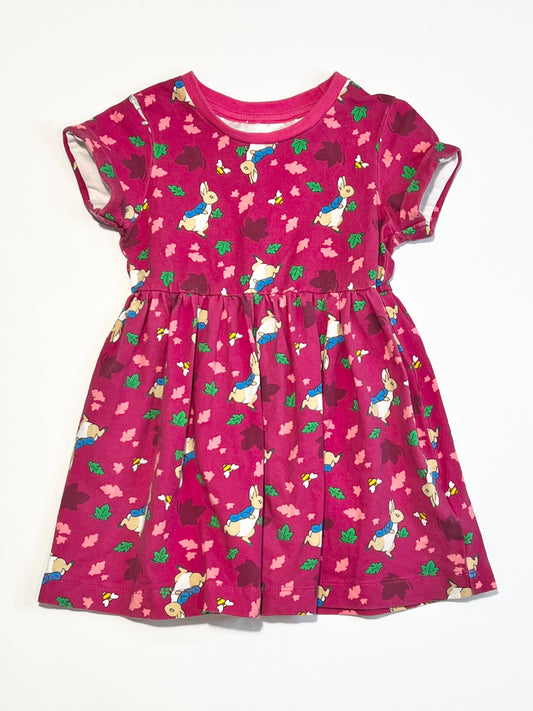 Jersey Peter Rabbit dress - Size 1-2