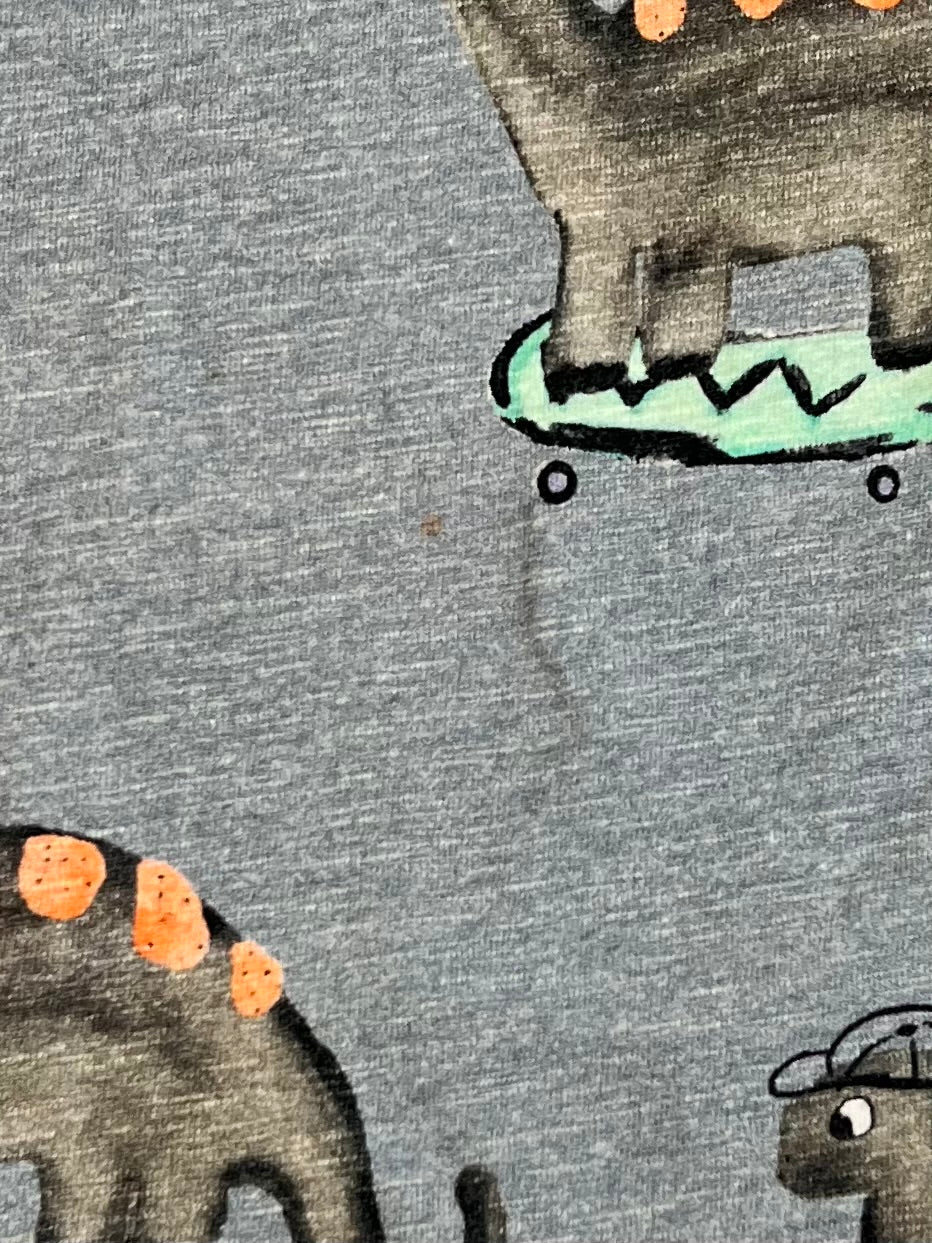 Skating dinos tee - Size 3-4