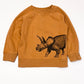 Brown dino sweater - Size 3