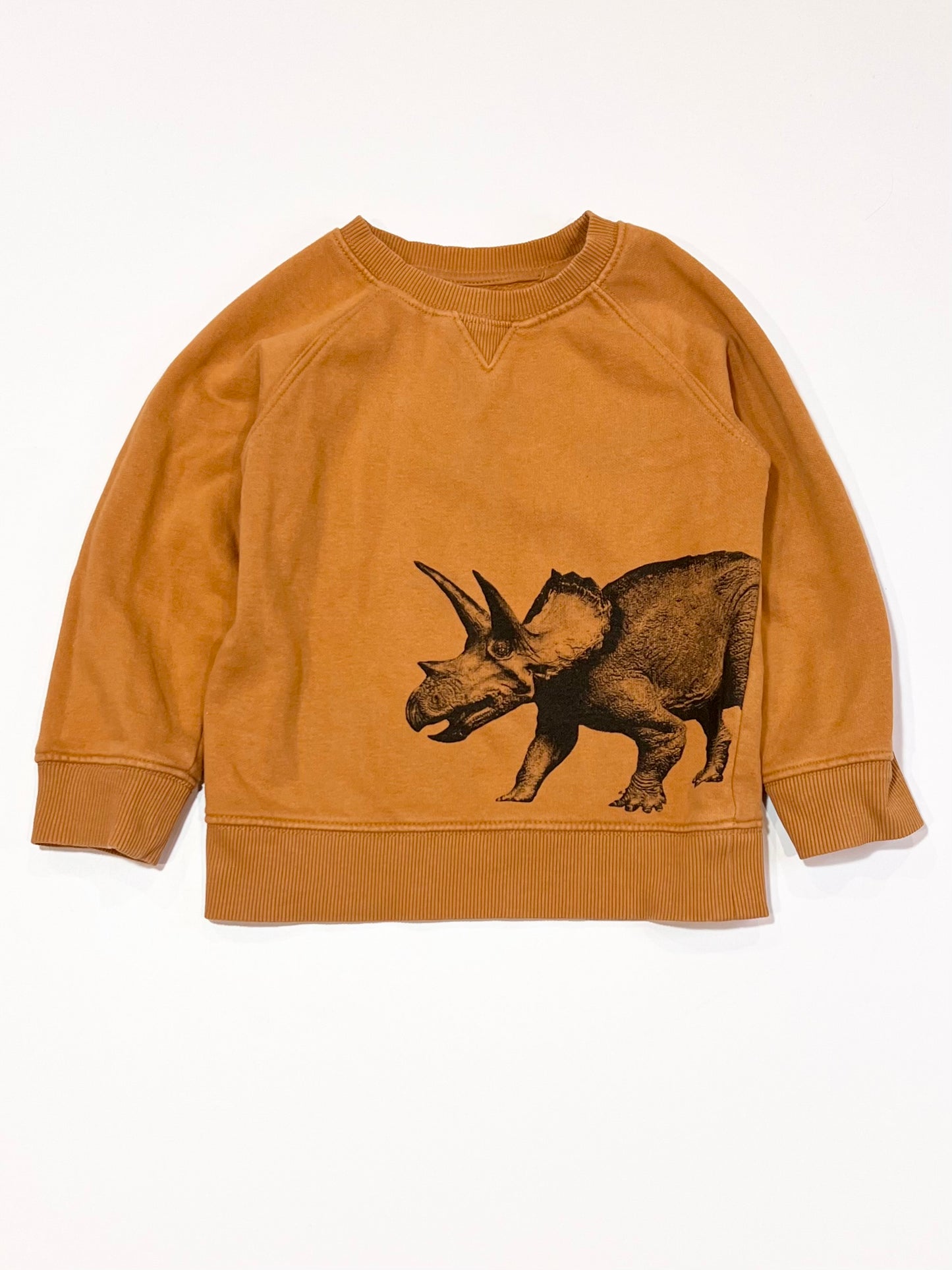 Brown dino sweater - Size 3