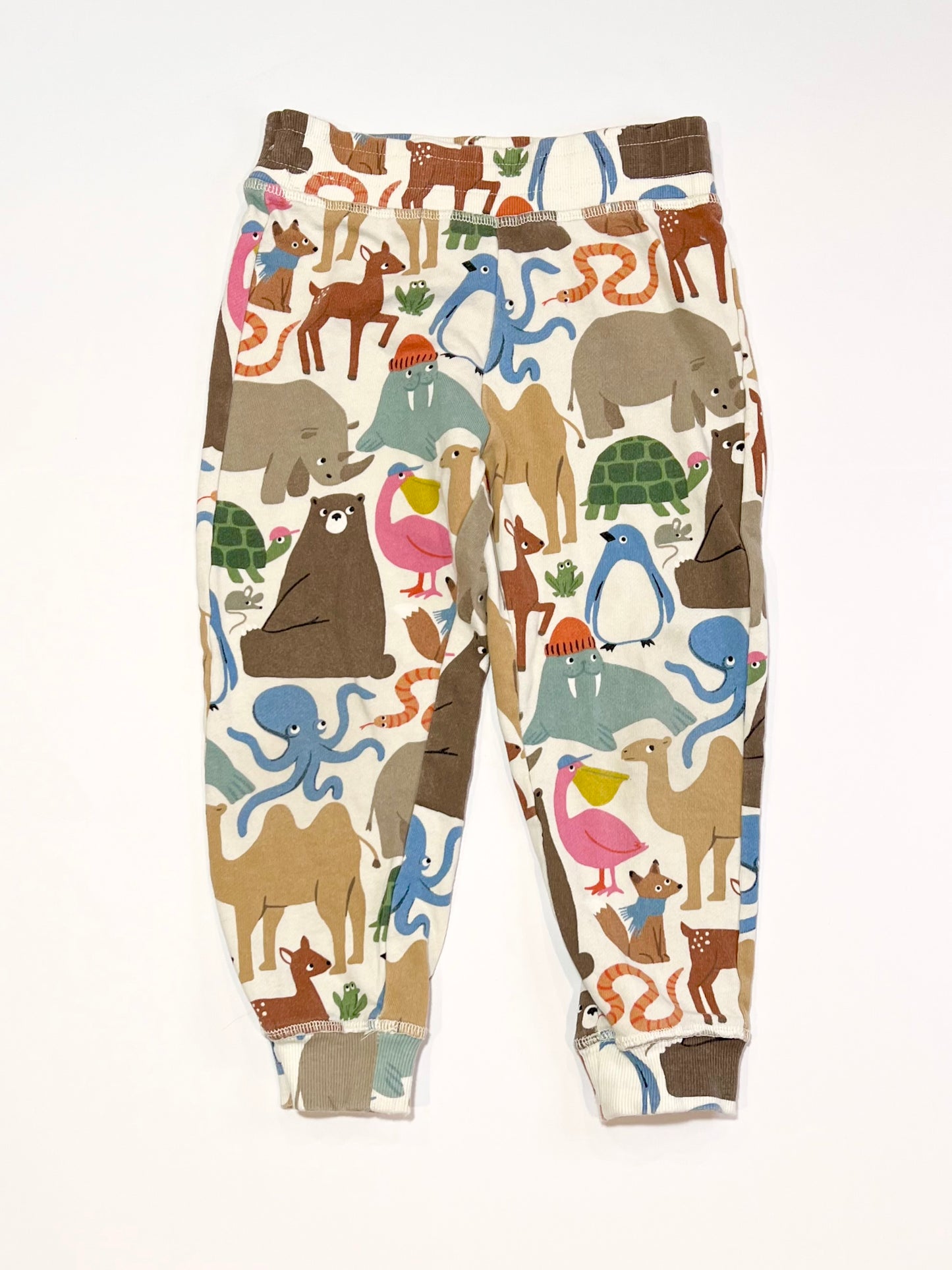 Animals trackies - Size 4-5