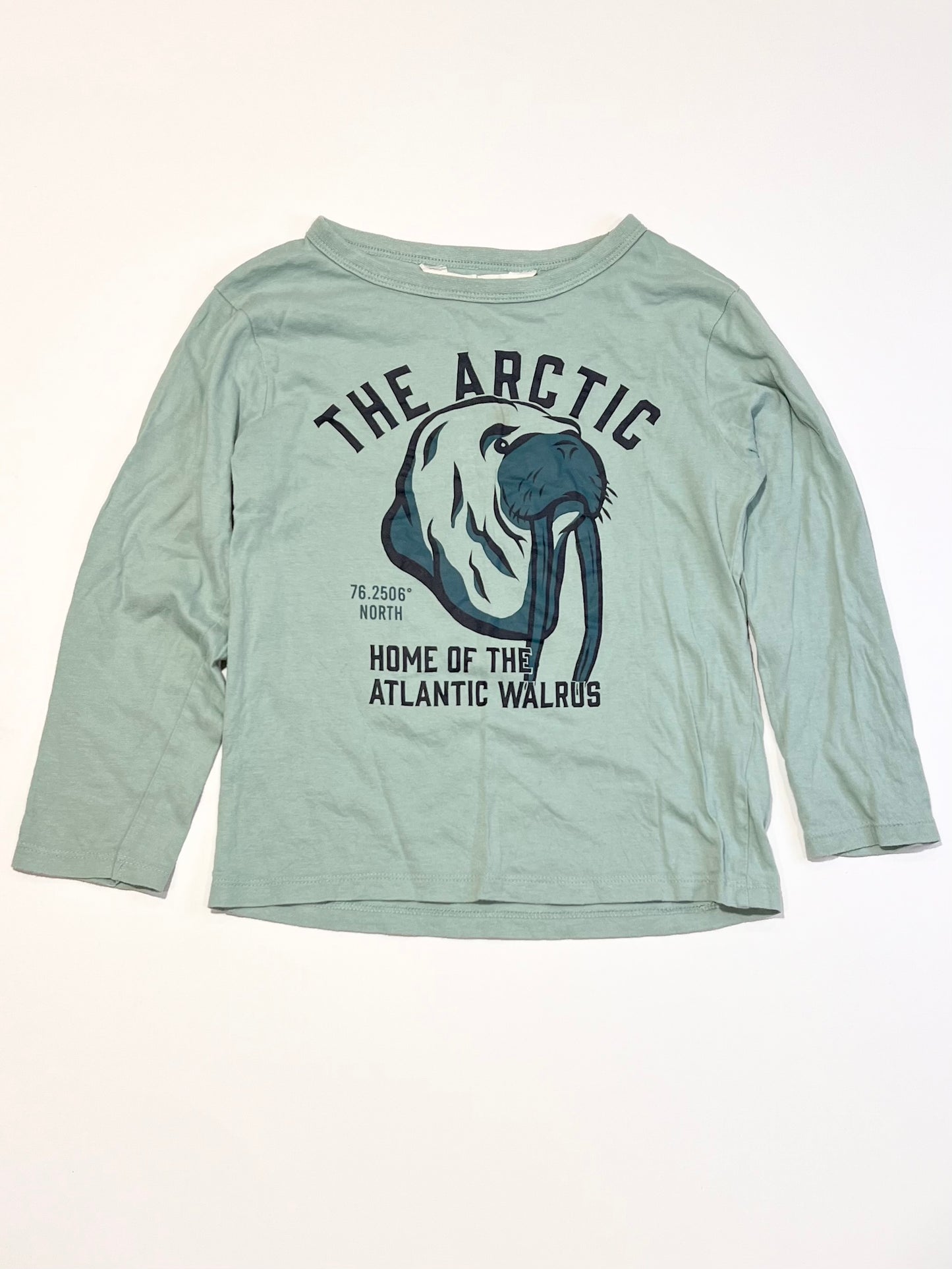 Green walrus top - Size 4-6