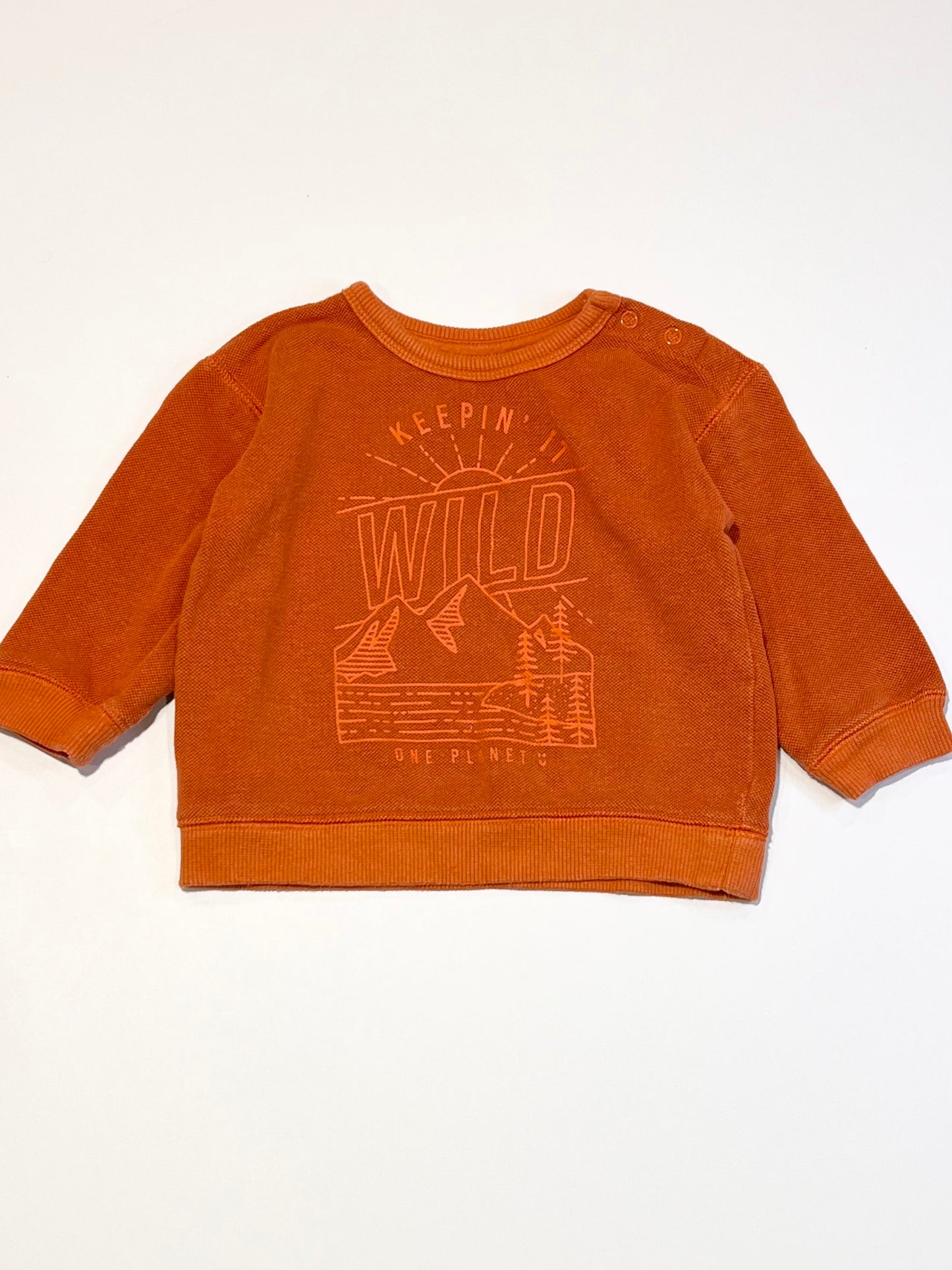 Keepin' it wild sweater - Size 1