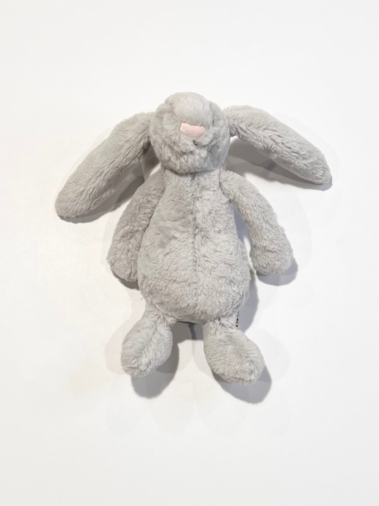 Grey Bashful Bunny