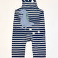 Striped dinosaur overalls - Size 9-12 months