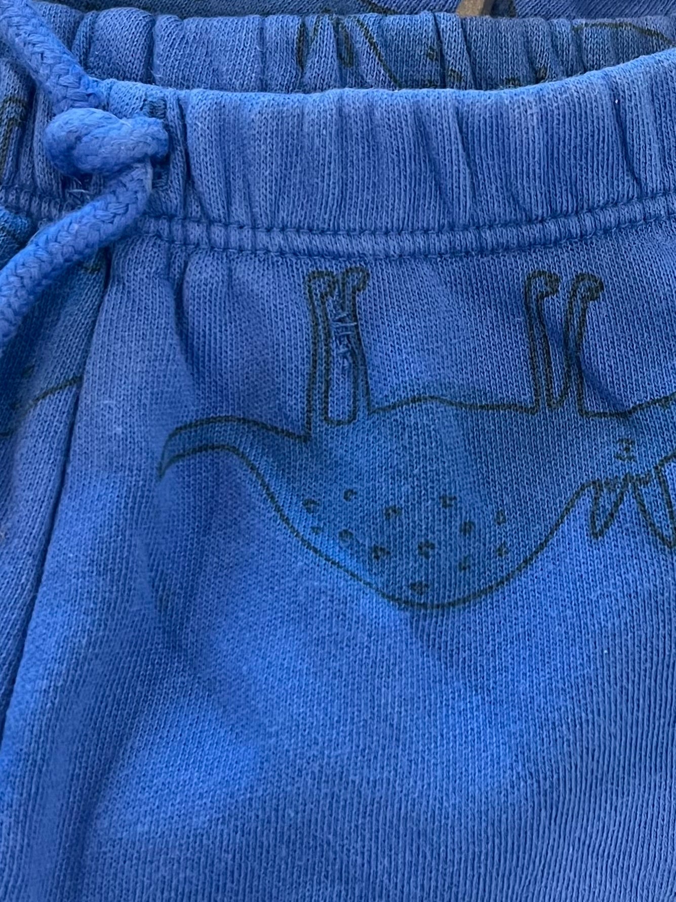 Blue armadillo trackies - Size 0