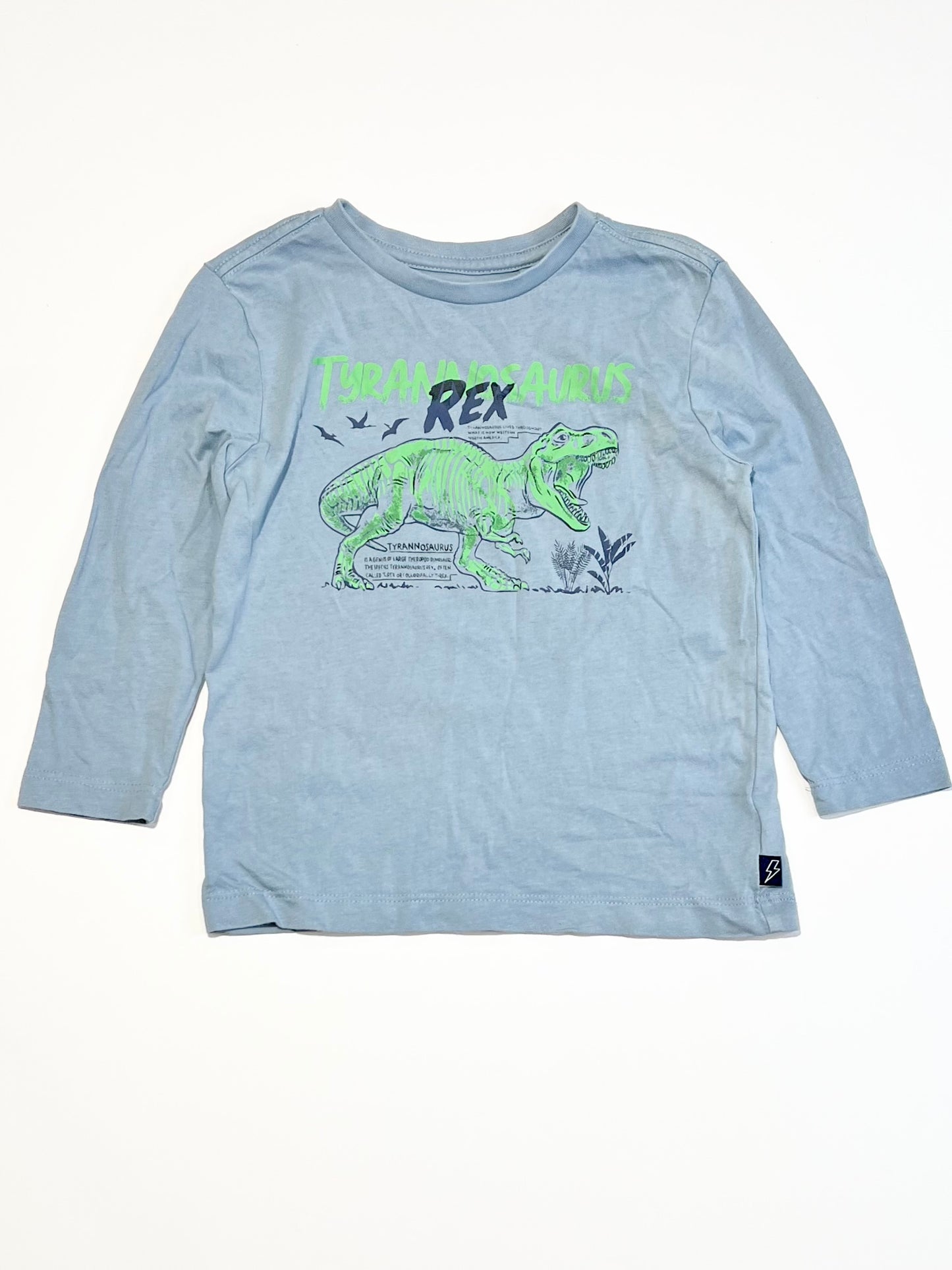 Grey t-rex top - Size 2